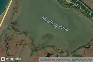 Moulting Pond