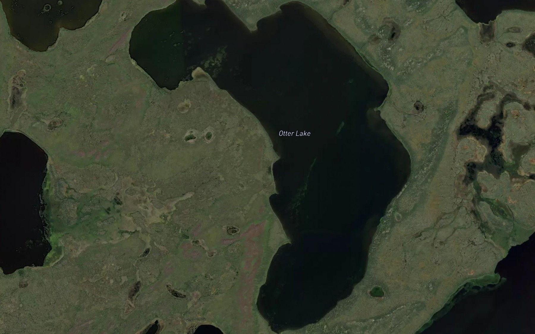 Satellite map of the Otter Lake