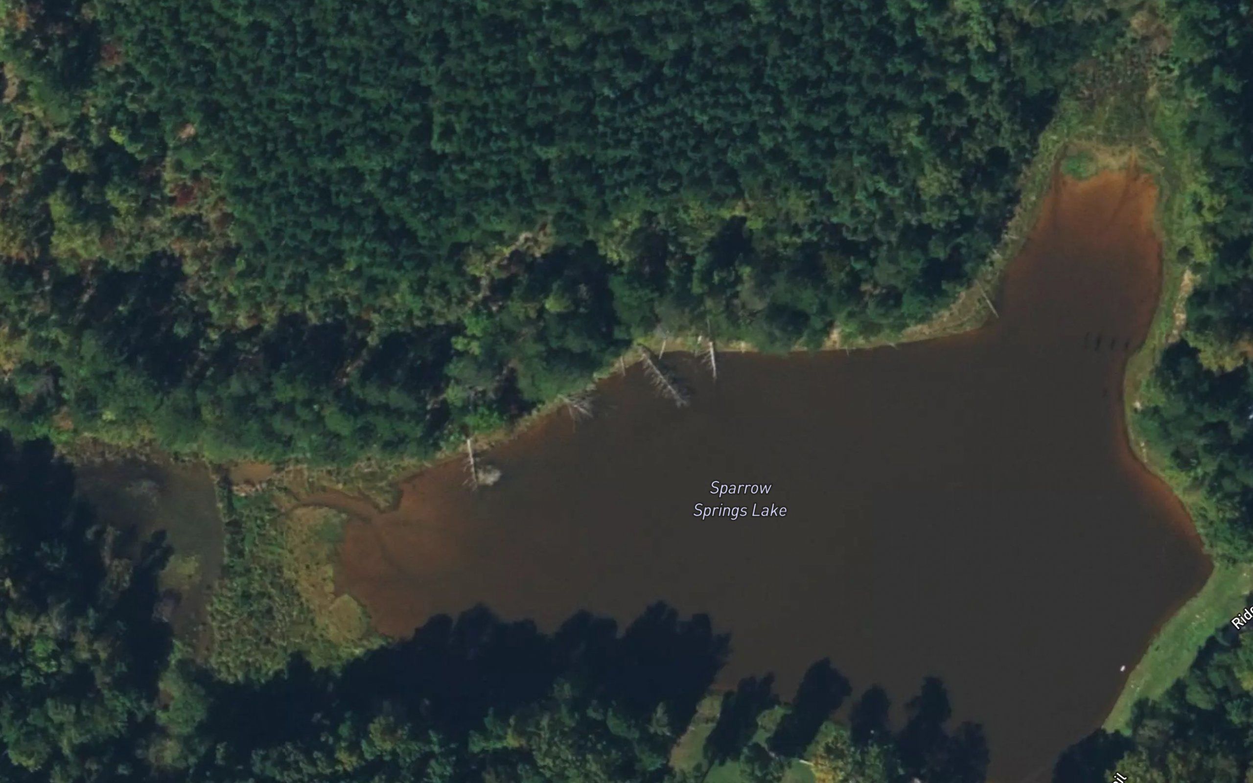 Sparrow Springs Lake