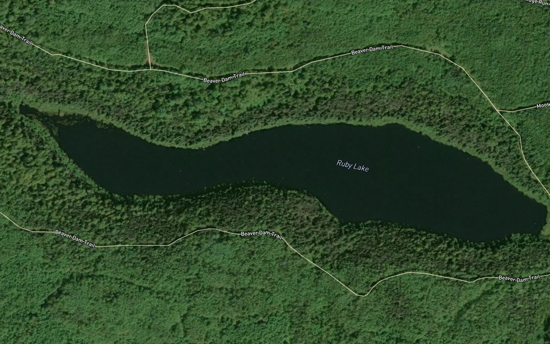 Satellite map of the Ruby Lake