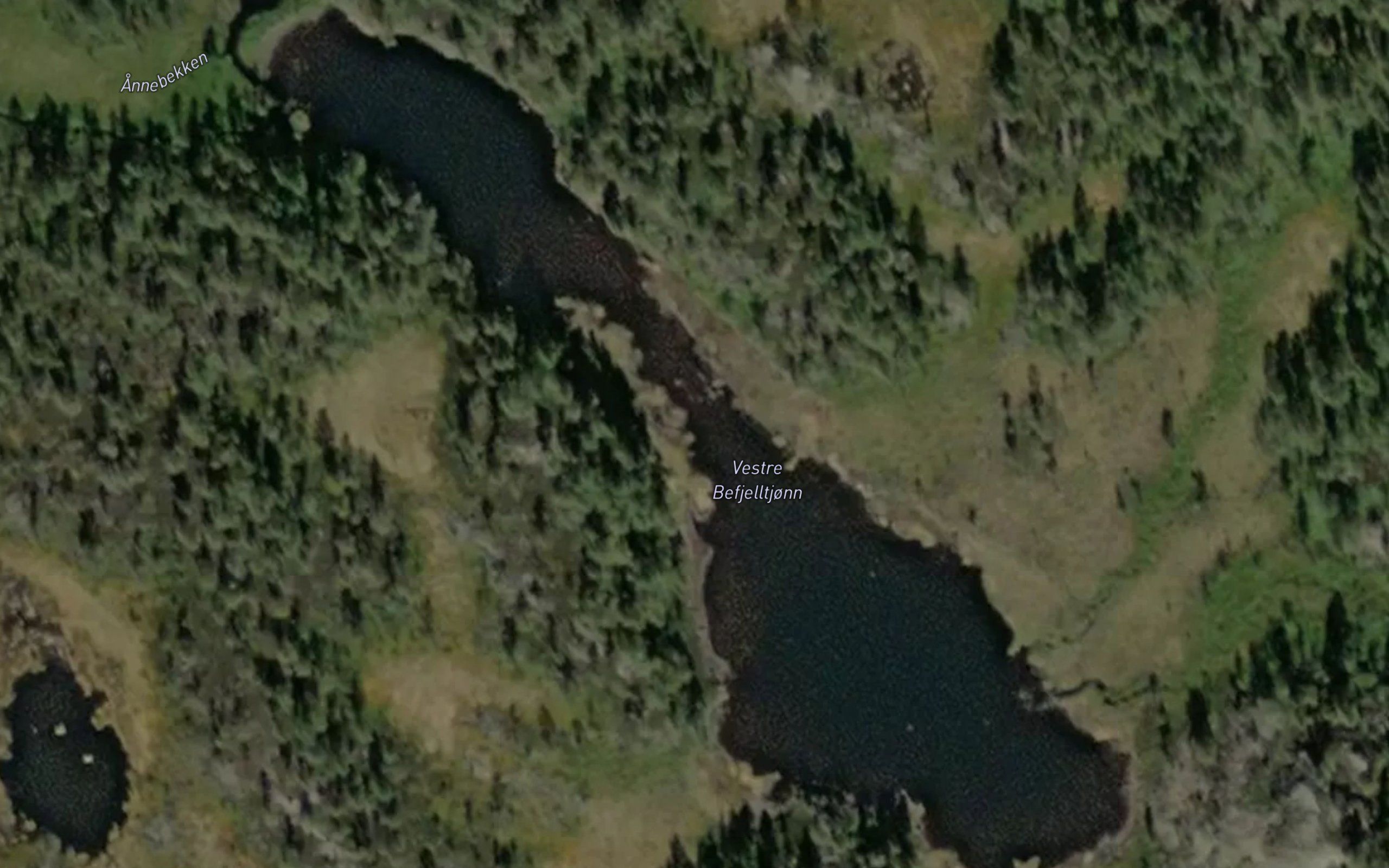 Befjelltjorna