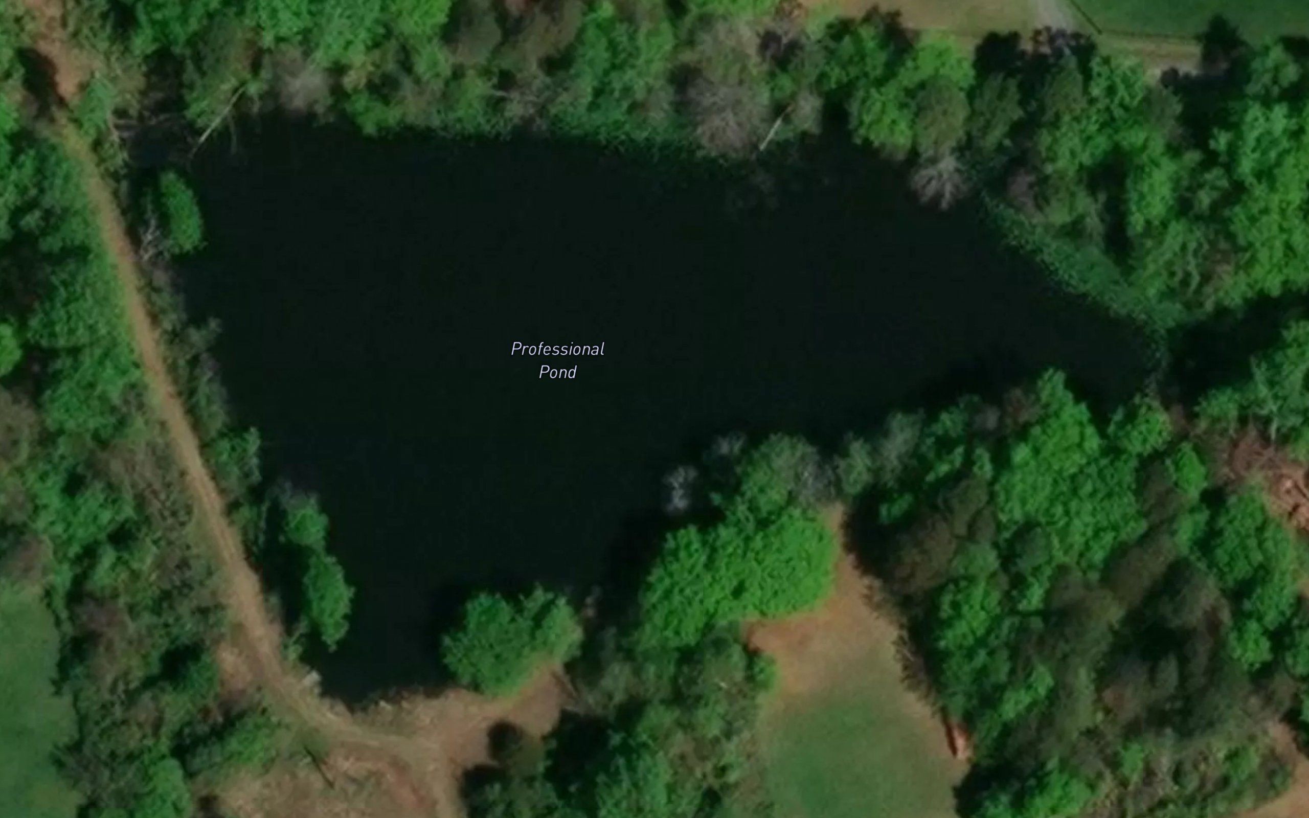 Professional Pond