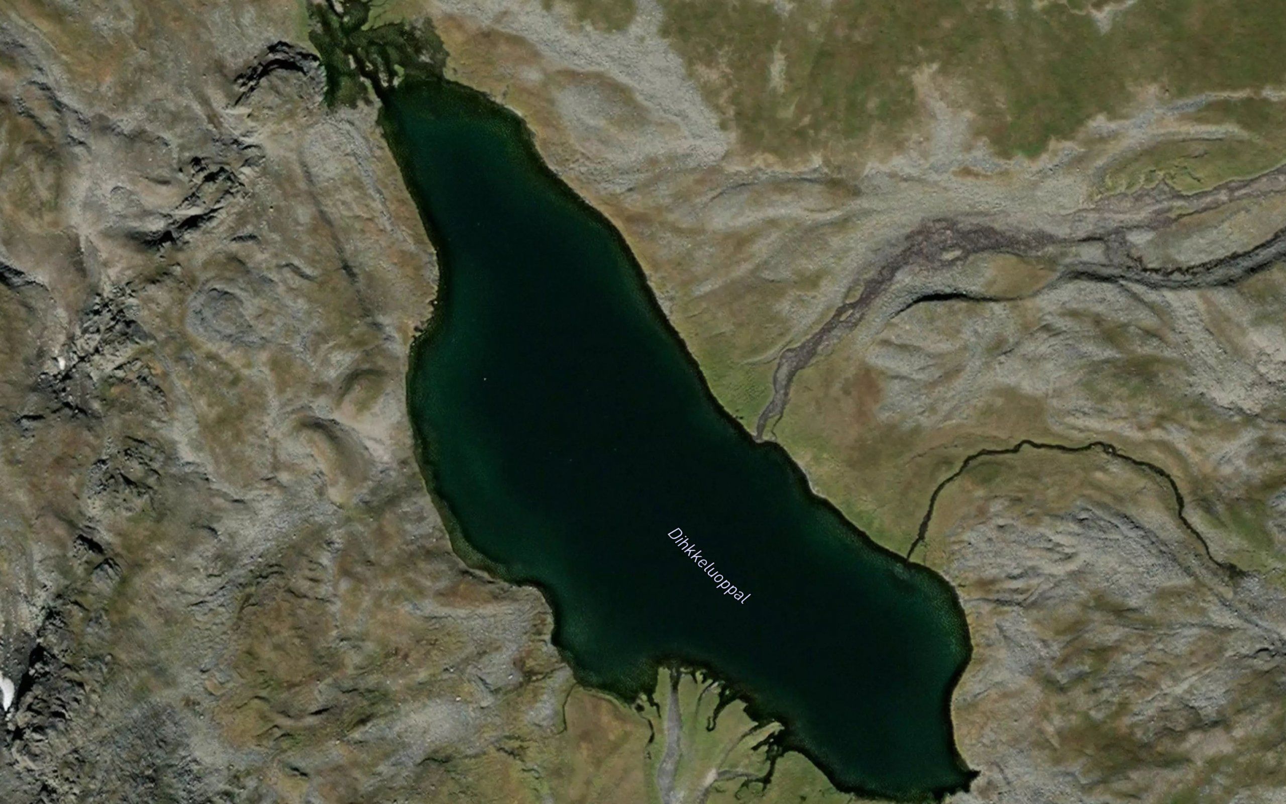 Dikkeluobbal