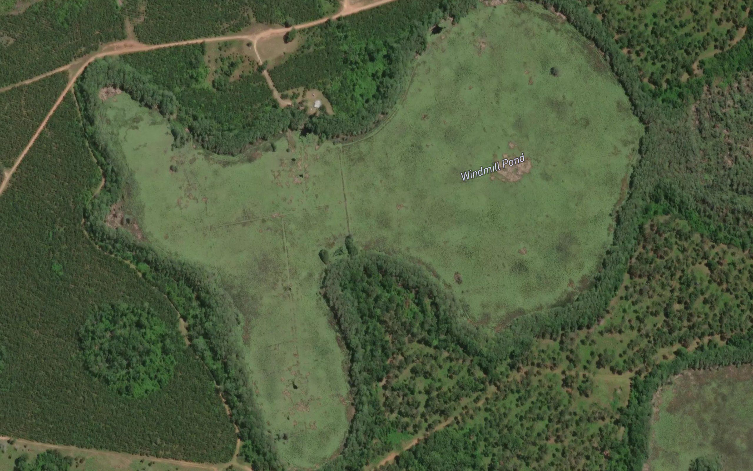 Windmill Pond