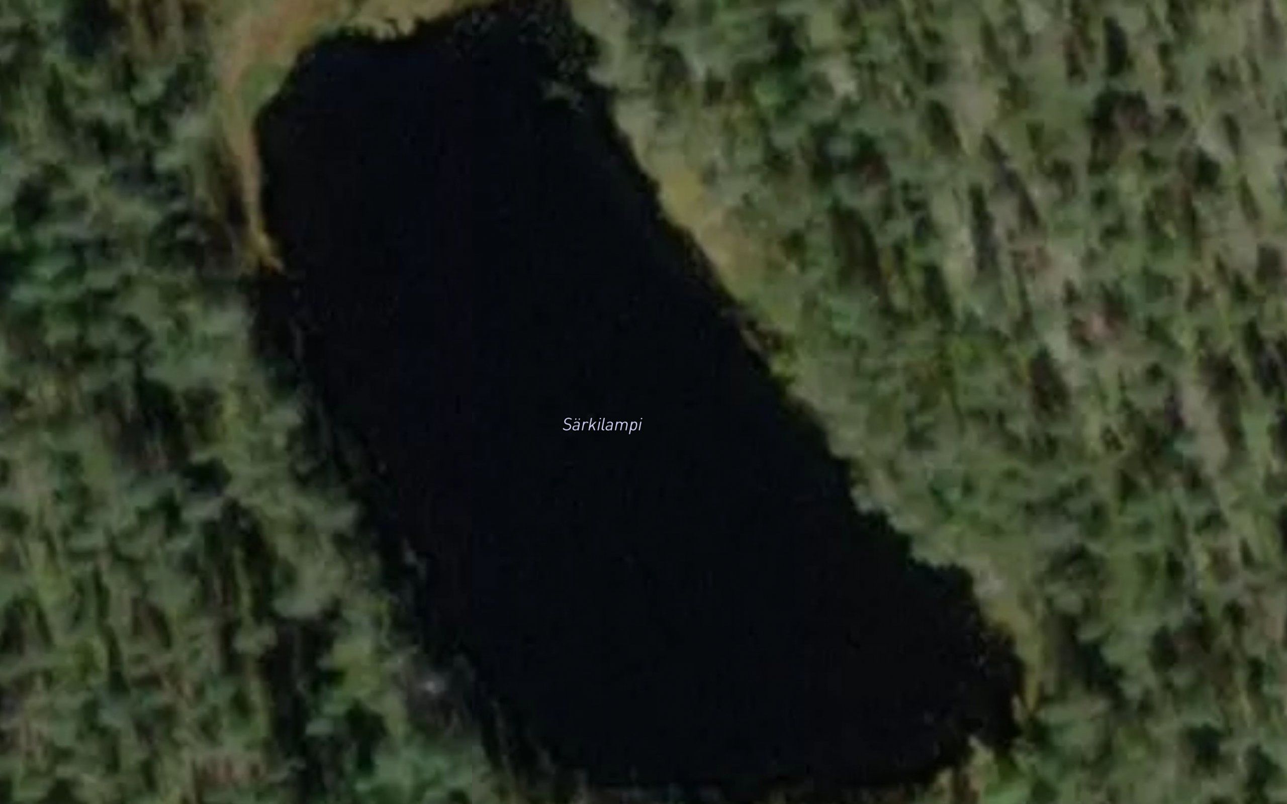 Sarkilampi