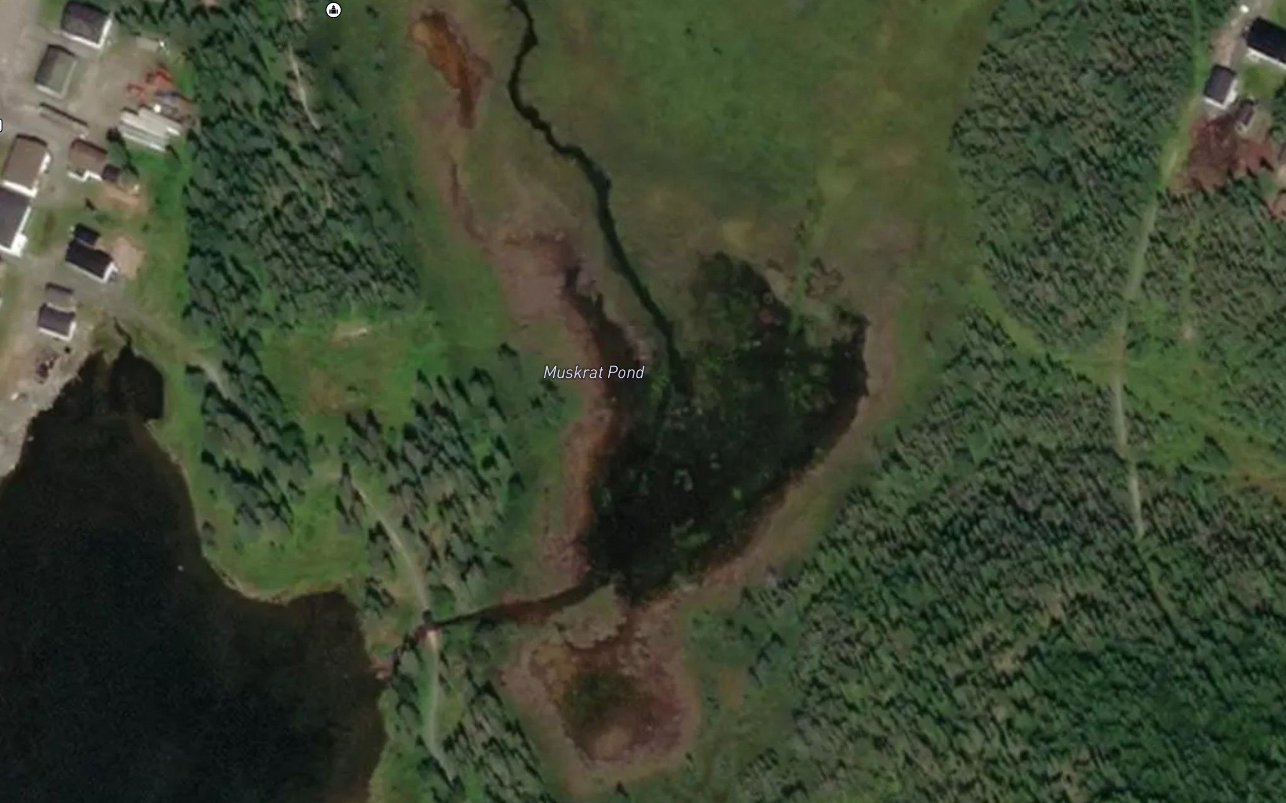 Muskrat Pond