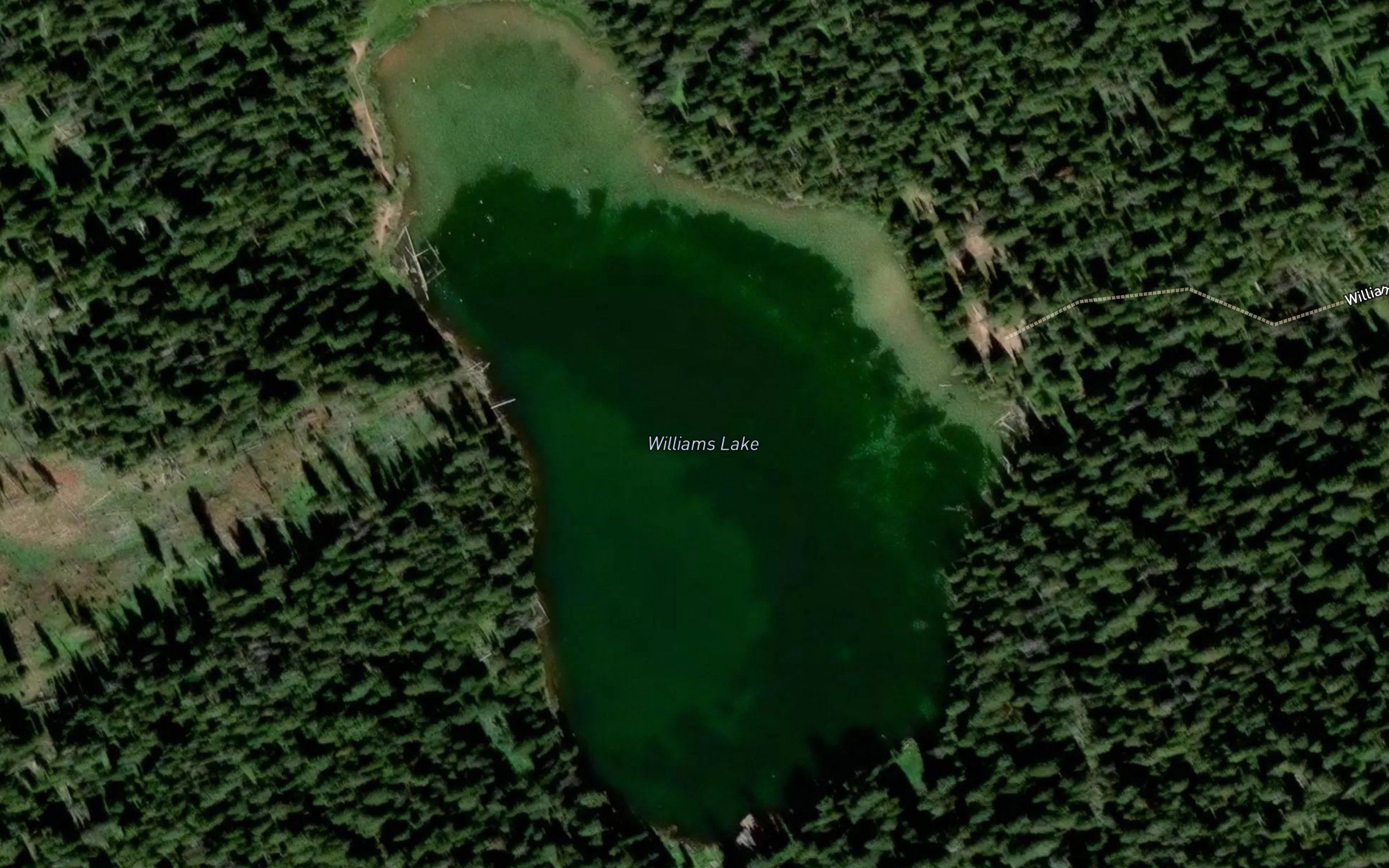 Williams Lake