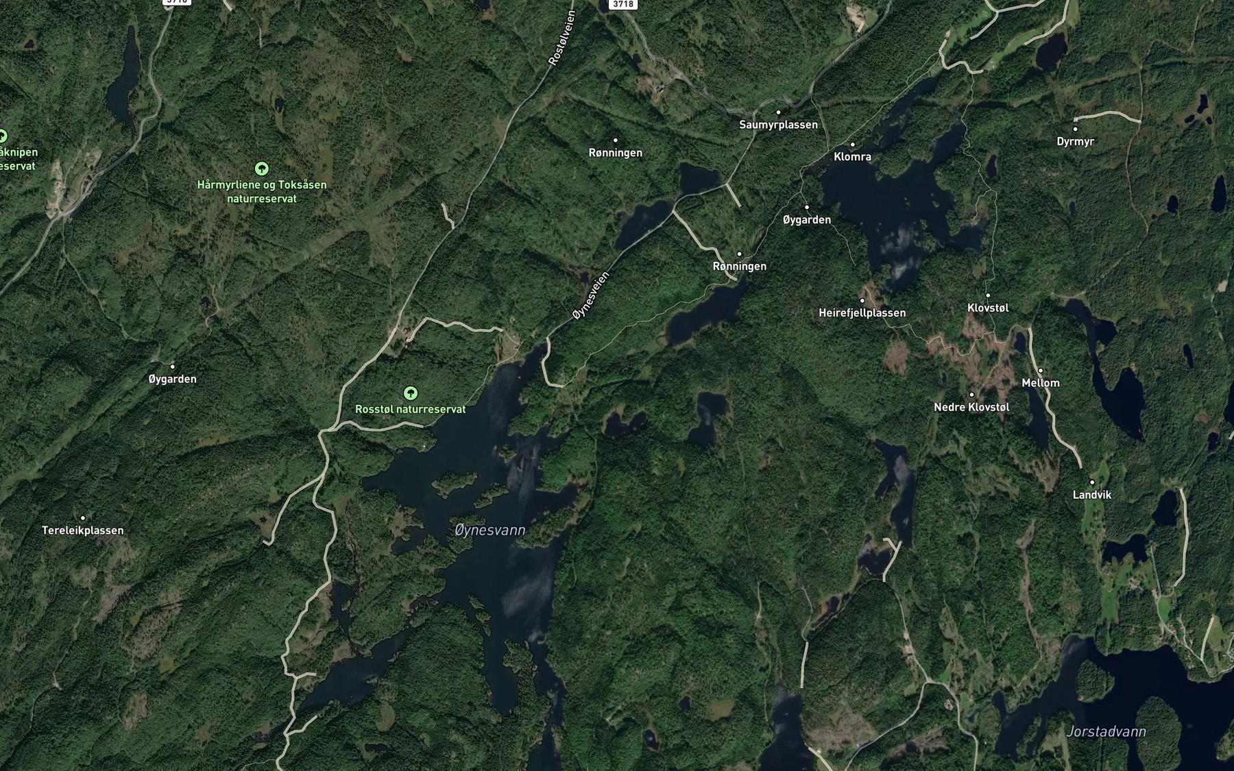 Satellite map of the Oyneselva