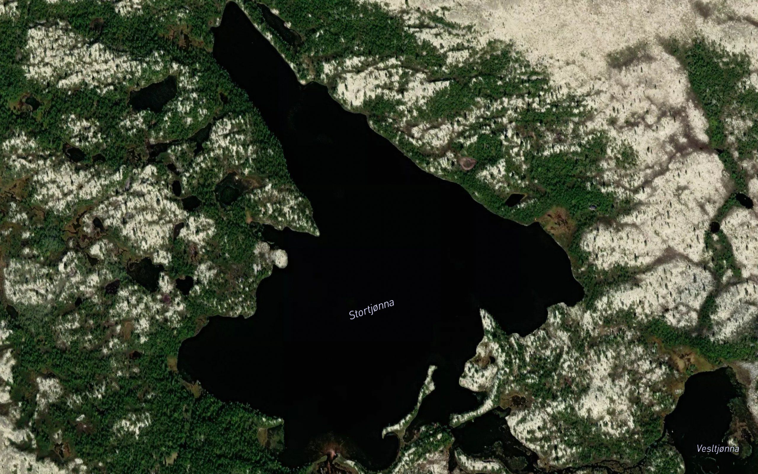 Stortjorna