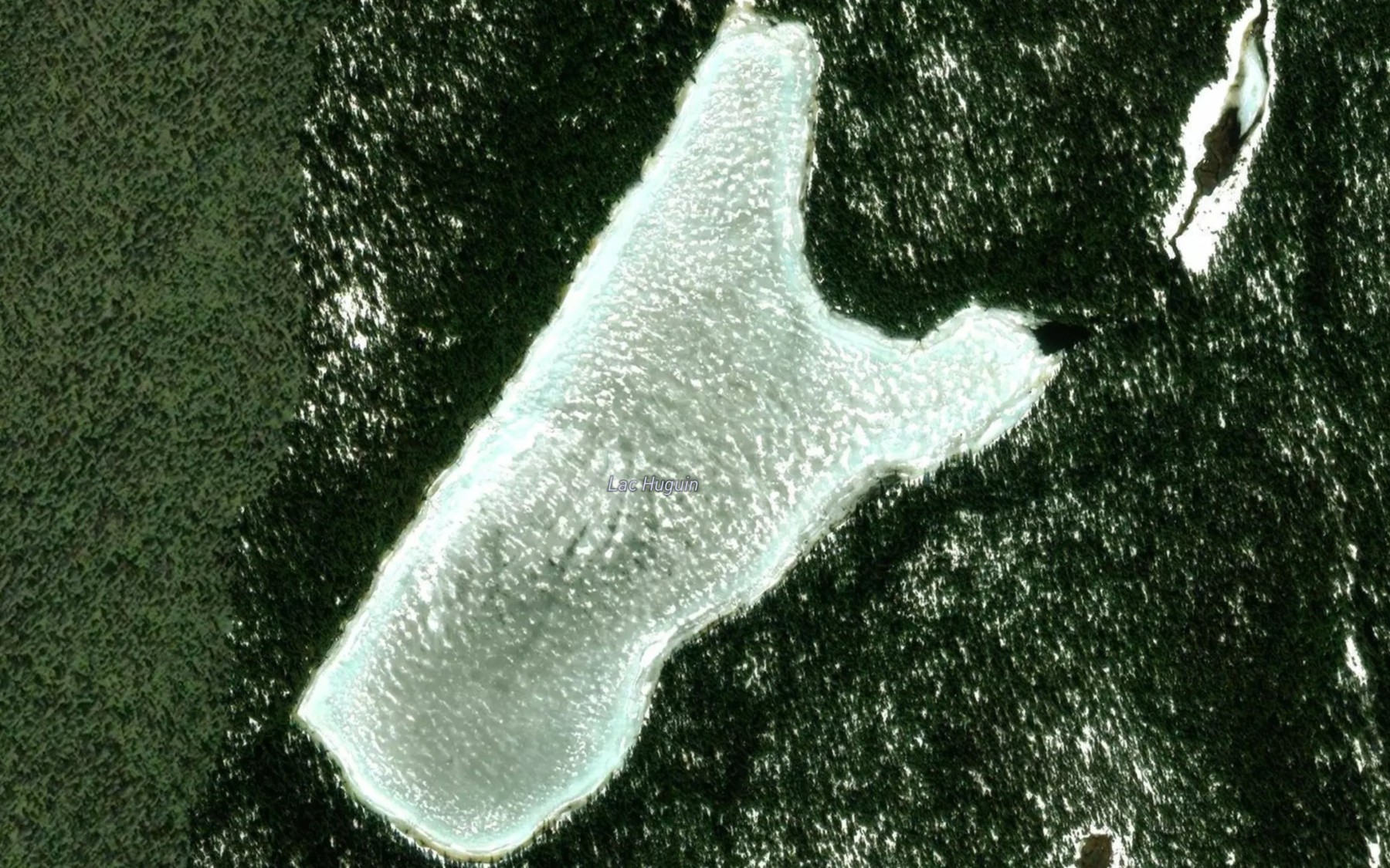 Satellite map of the Lac Huguin