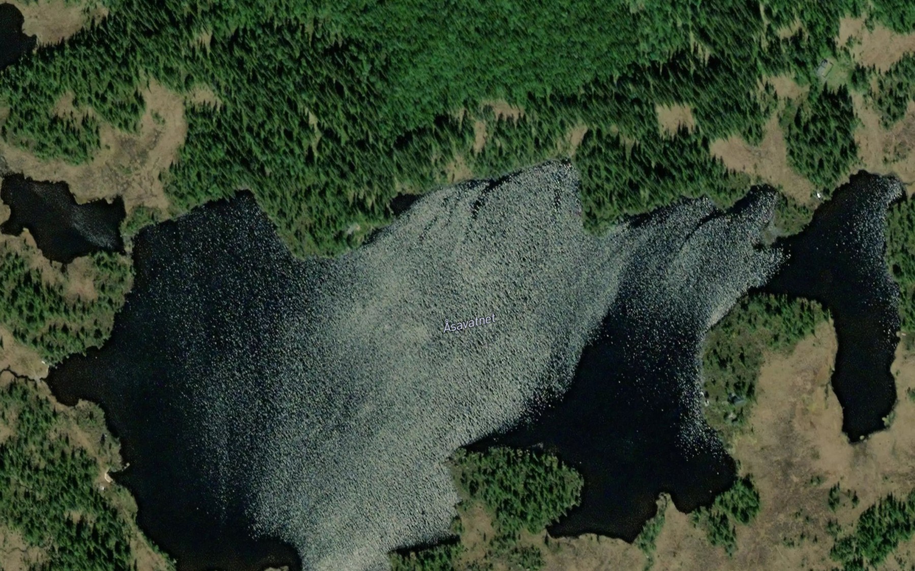 Satellite map of the Asavatnet