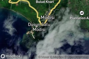 Ongkag Modisi