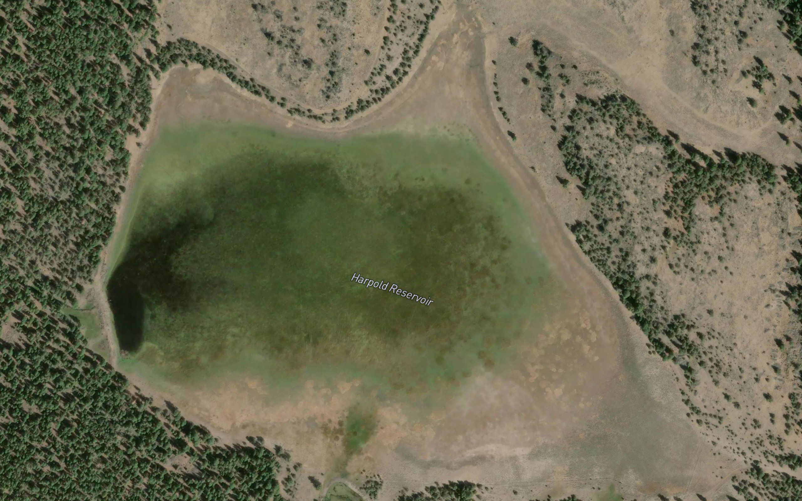 Harpold Reservoir