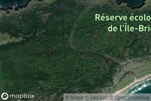 Ruisseau du Froment Sauvage