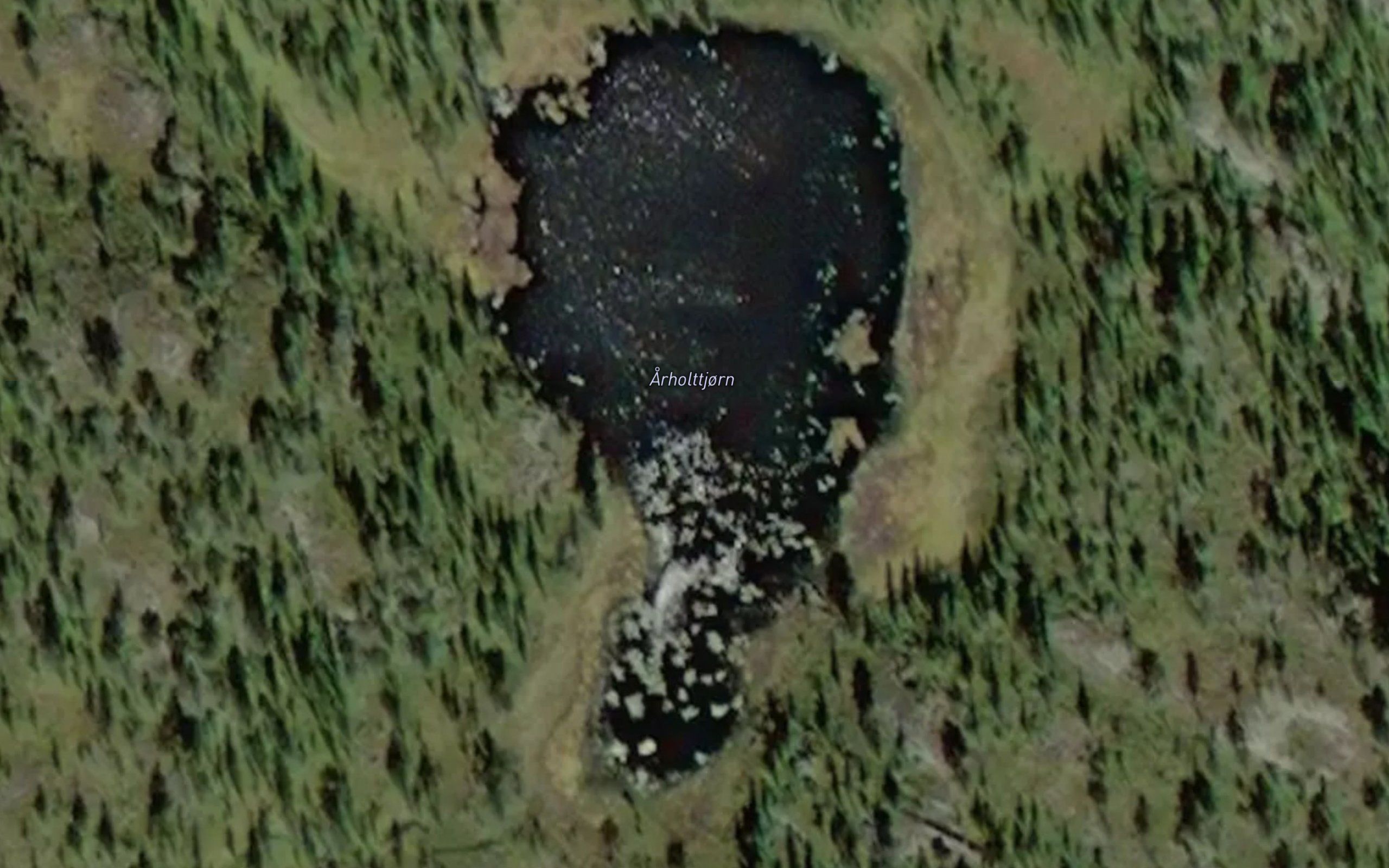 Arholttjorn