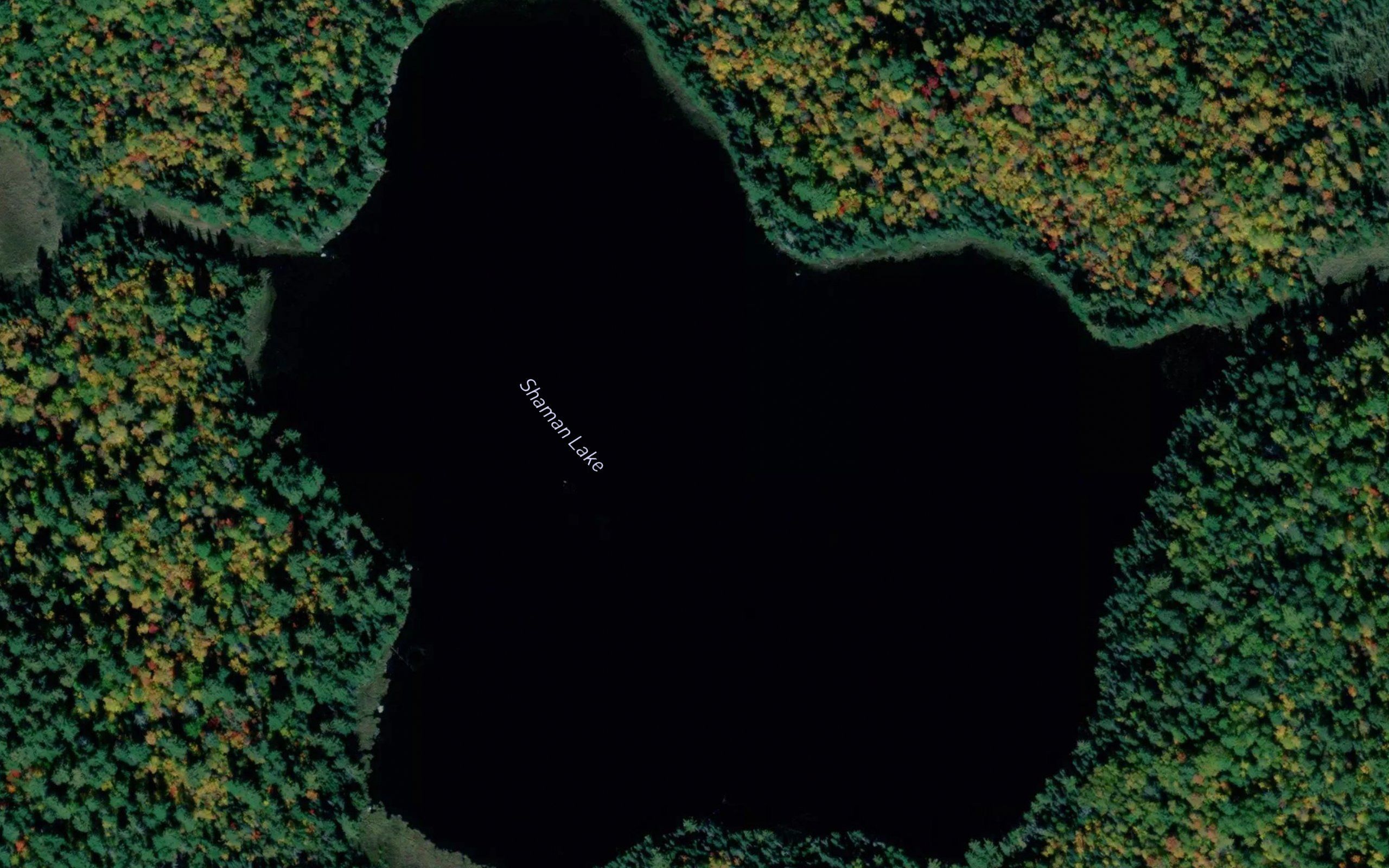Shaman Lake