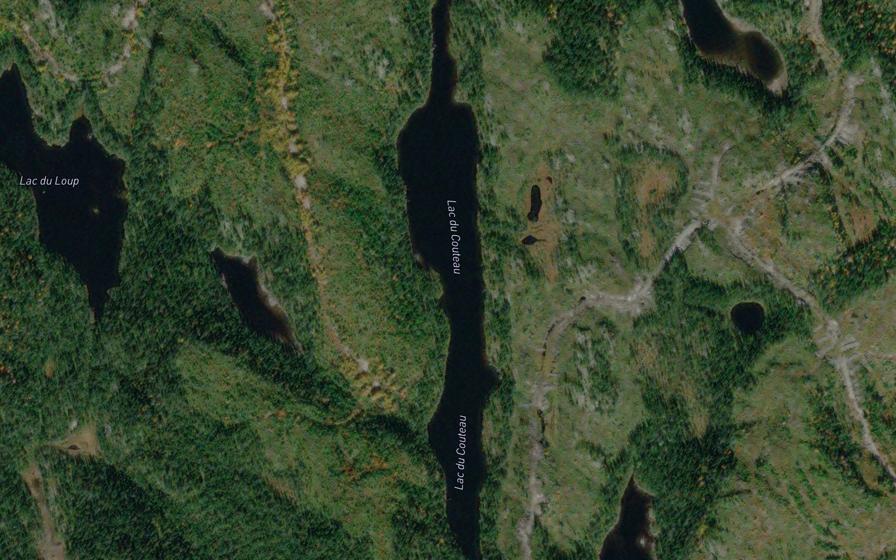 Satellite map of the Lac du Couteau