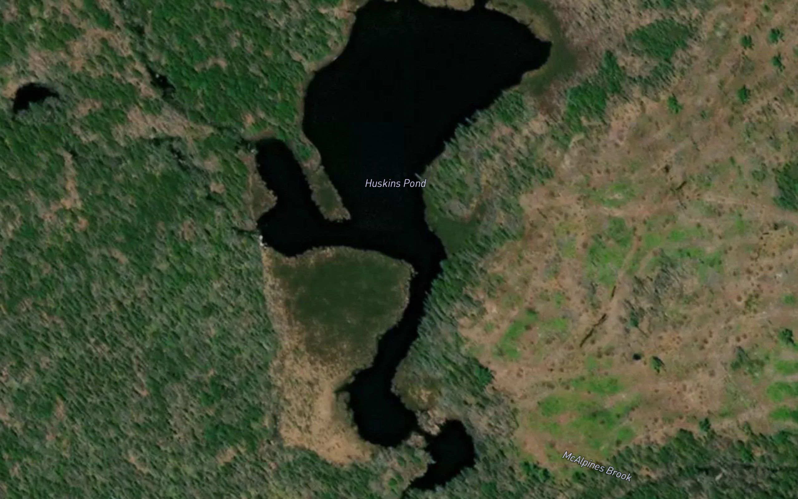 Huskins Pond