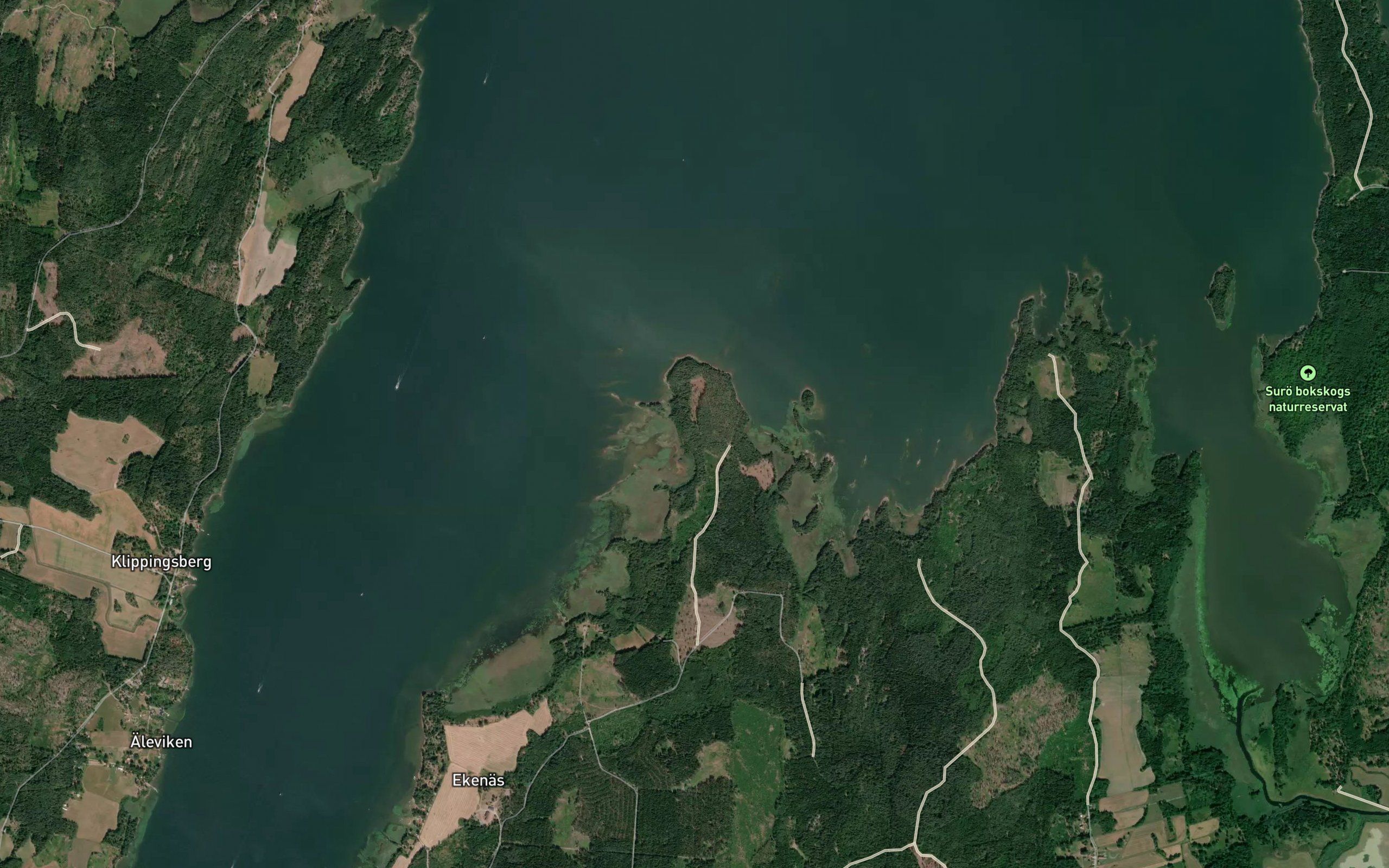 Marsvik