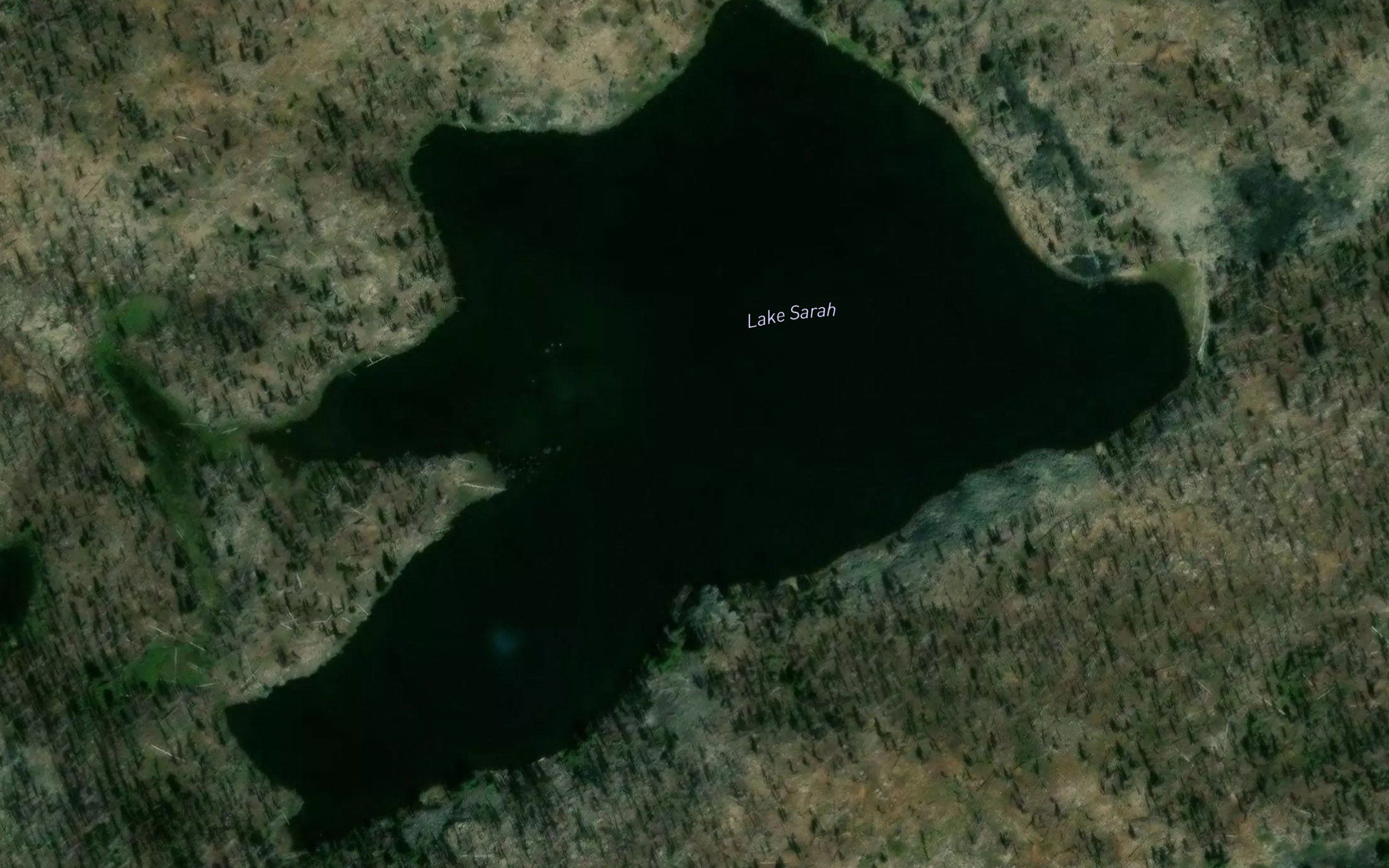 Lake Sarah