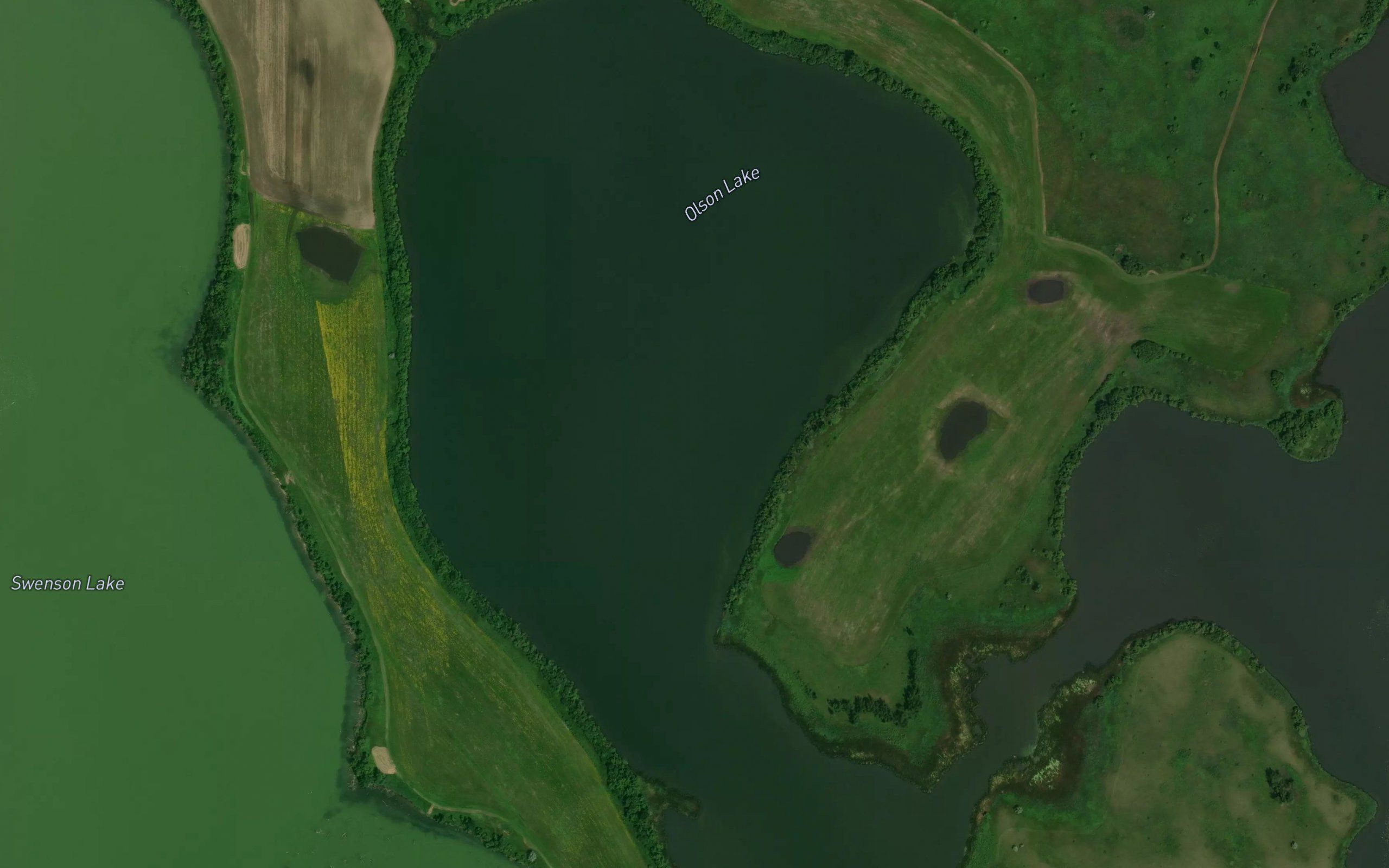 Olson Lake