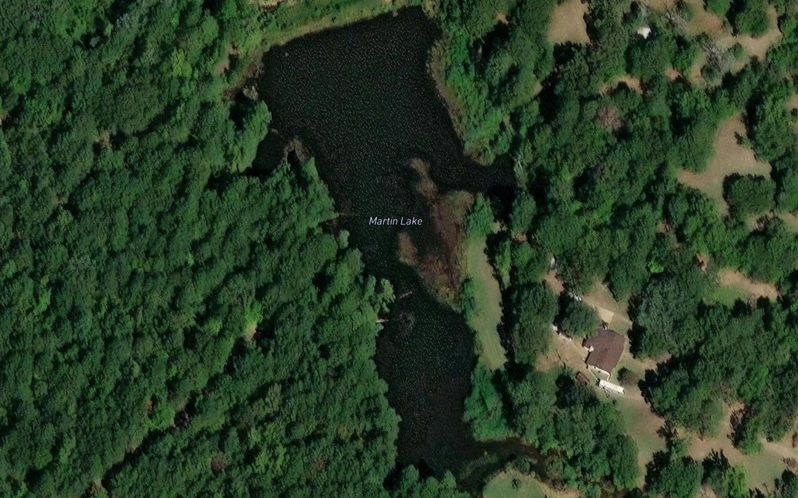 Martin Lake