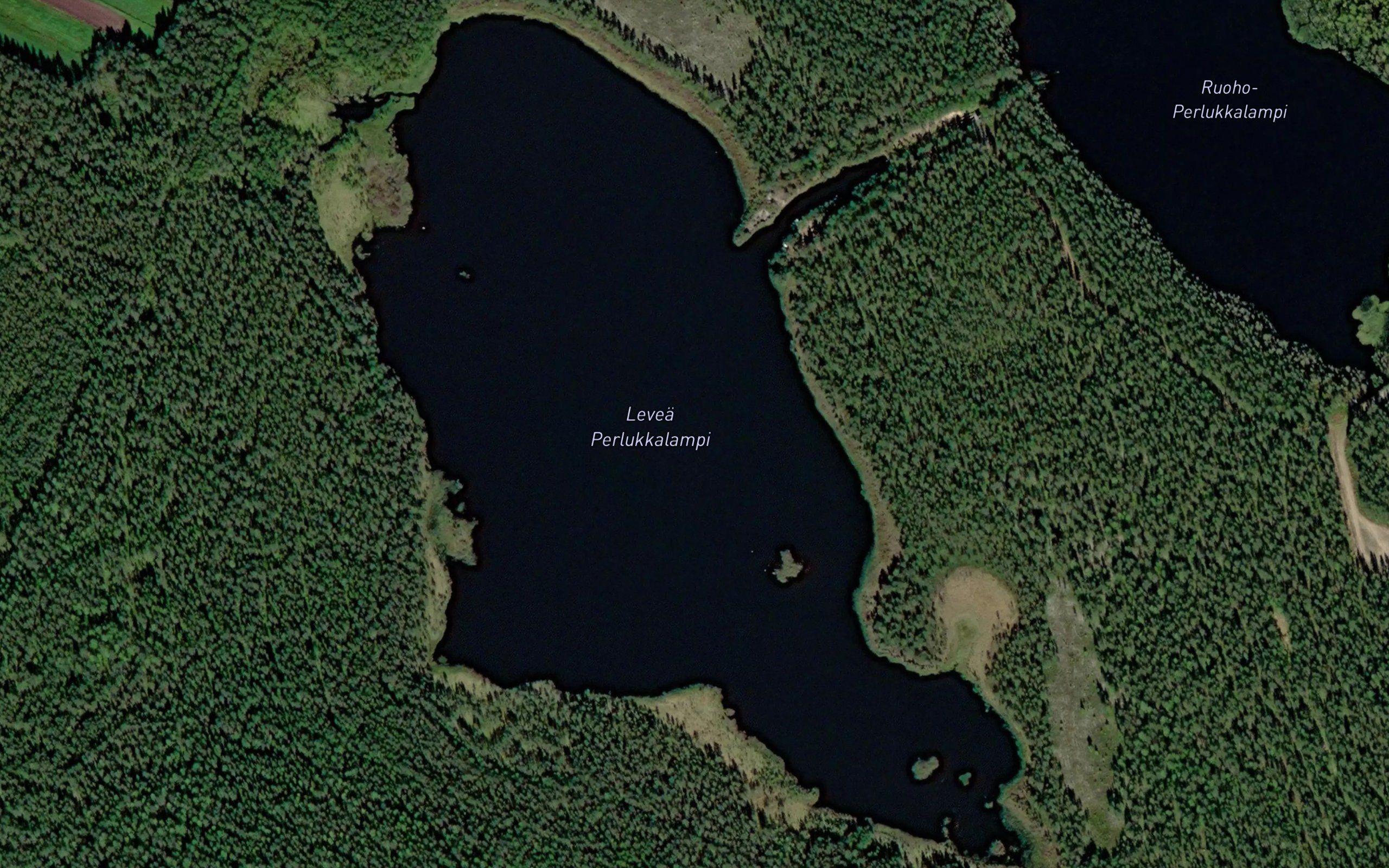 Levea Perlukkalampi