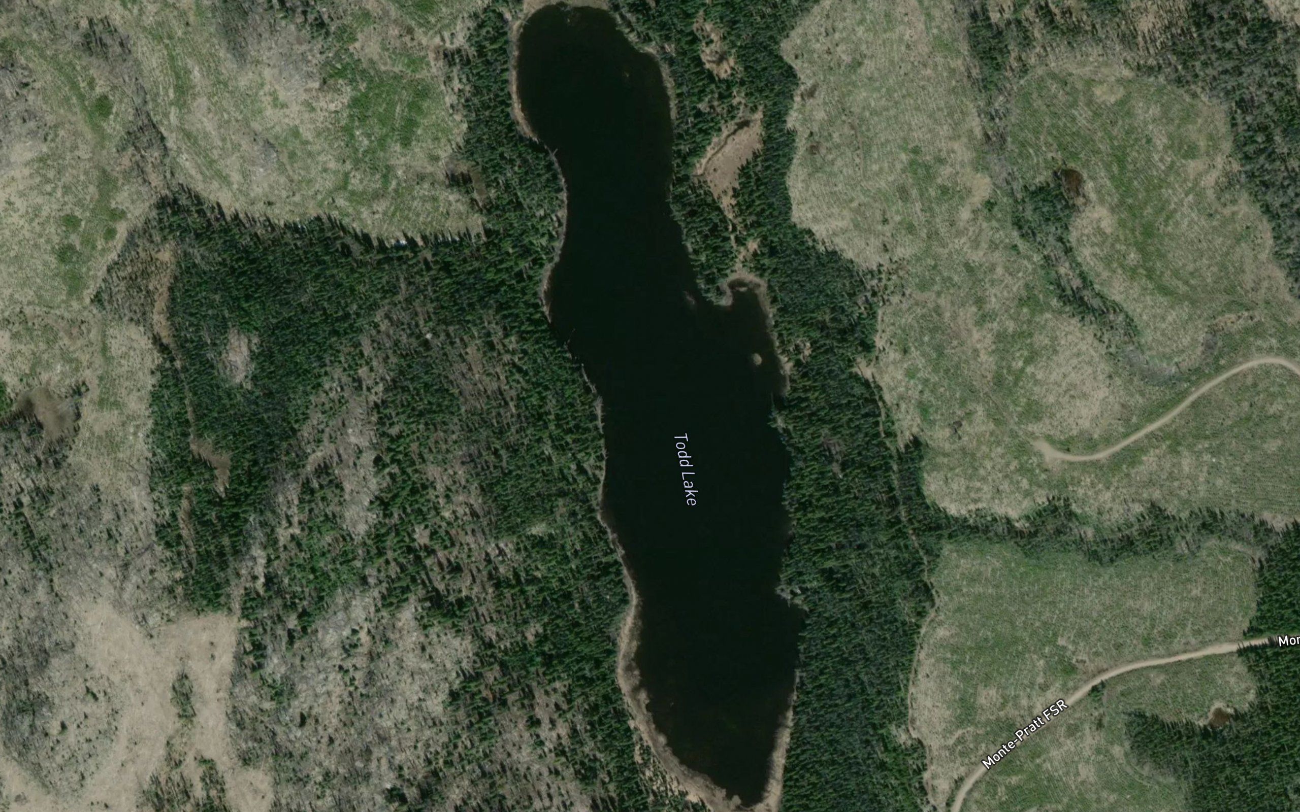 Todd Lake