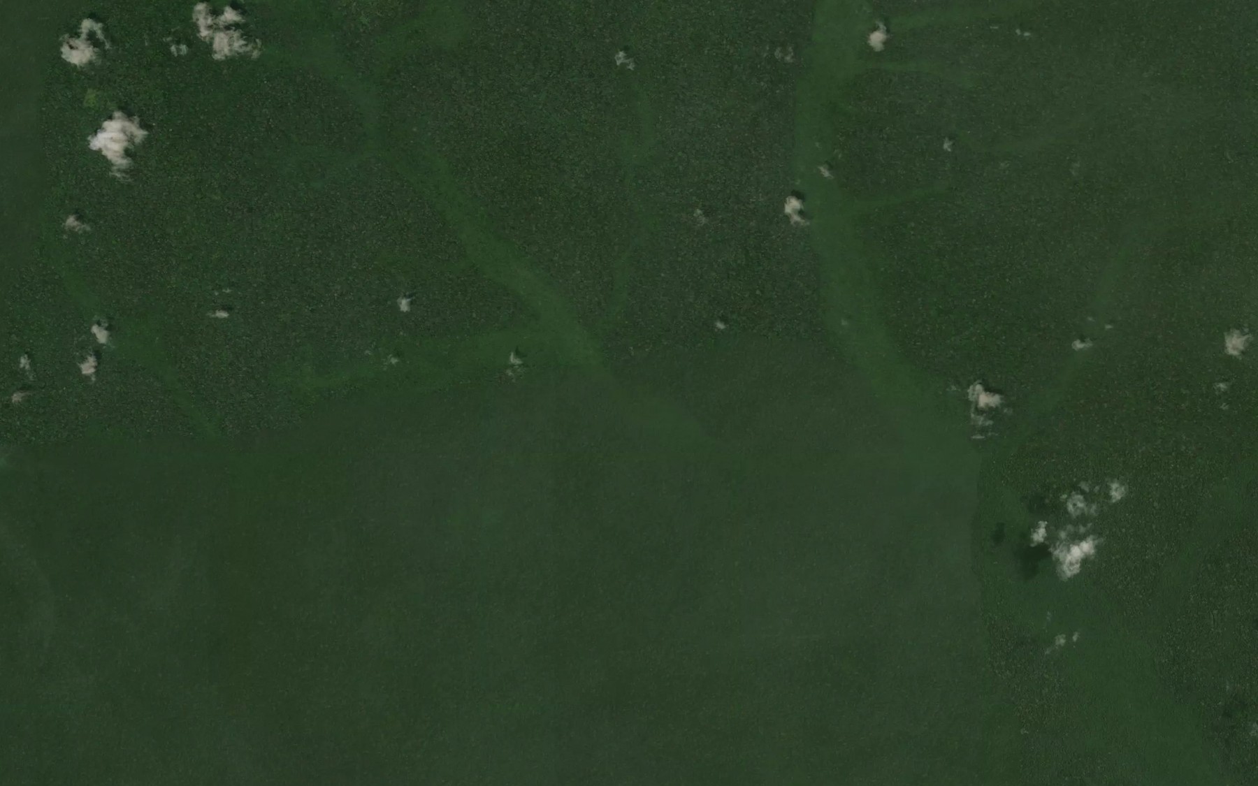 Satellite map of the Djindjele