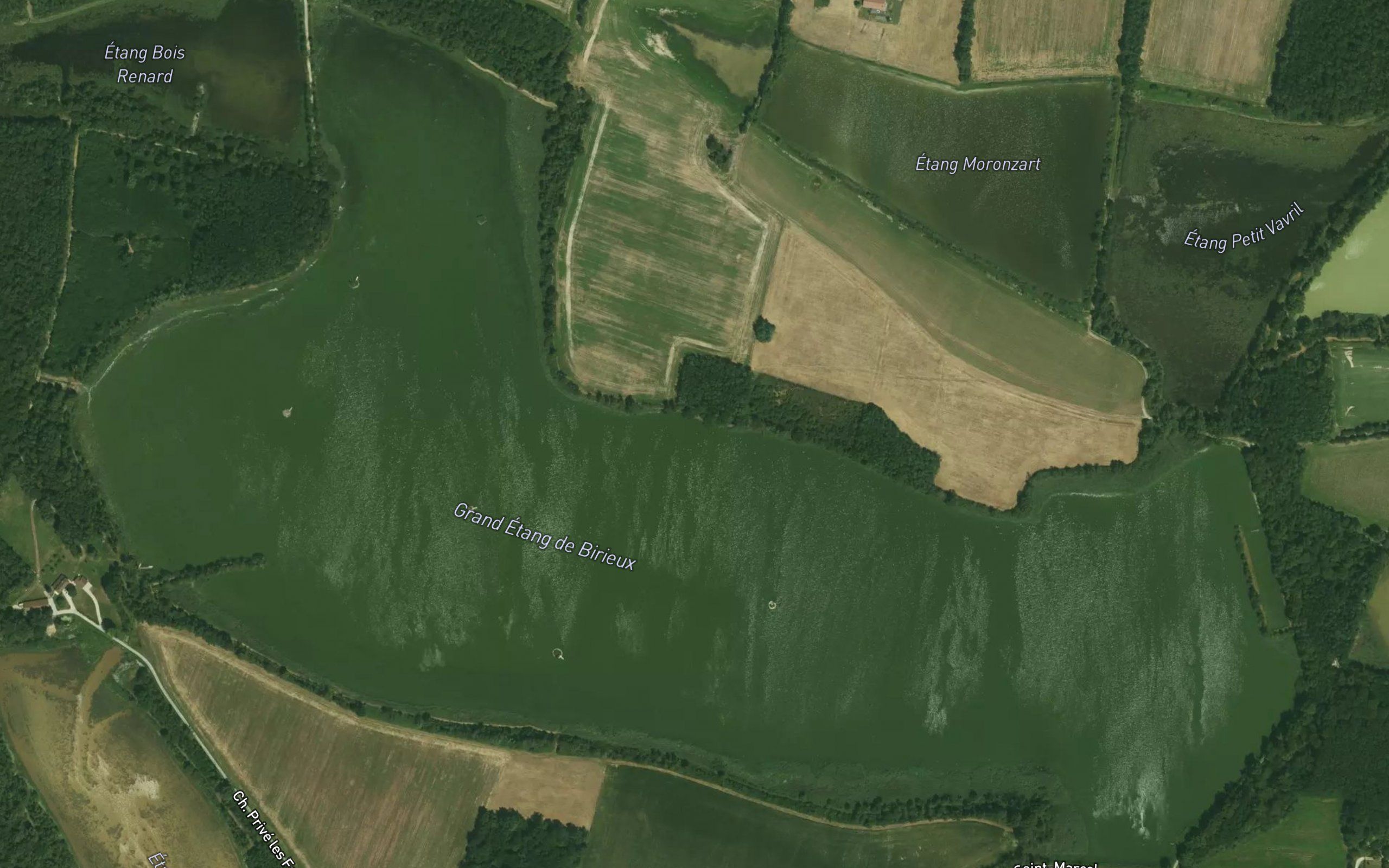 Etang du Grand Birieux