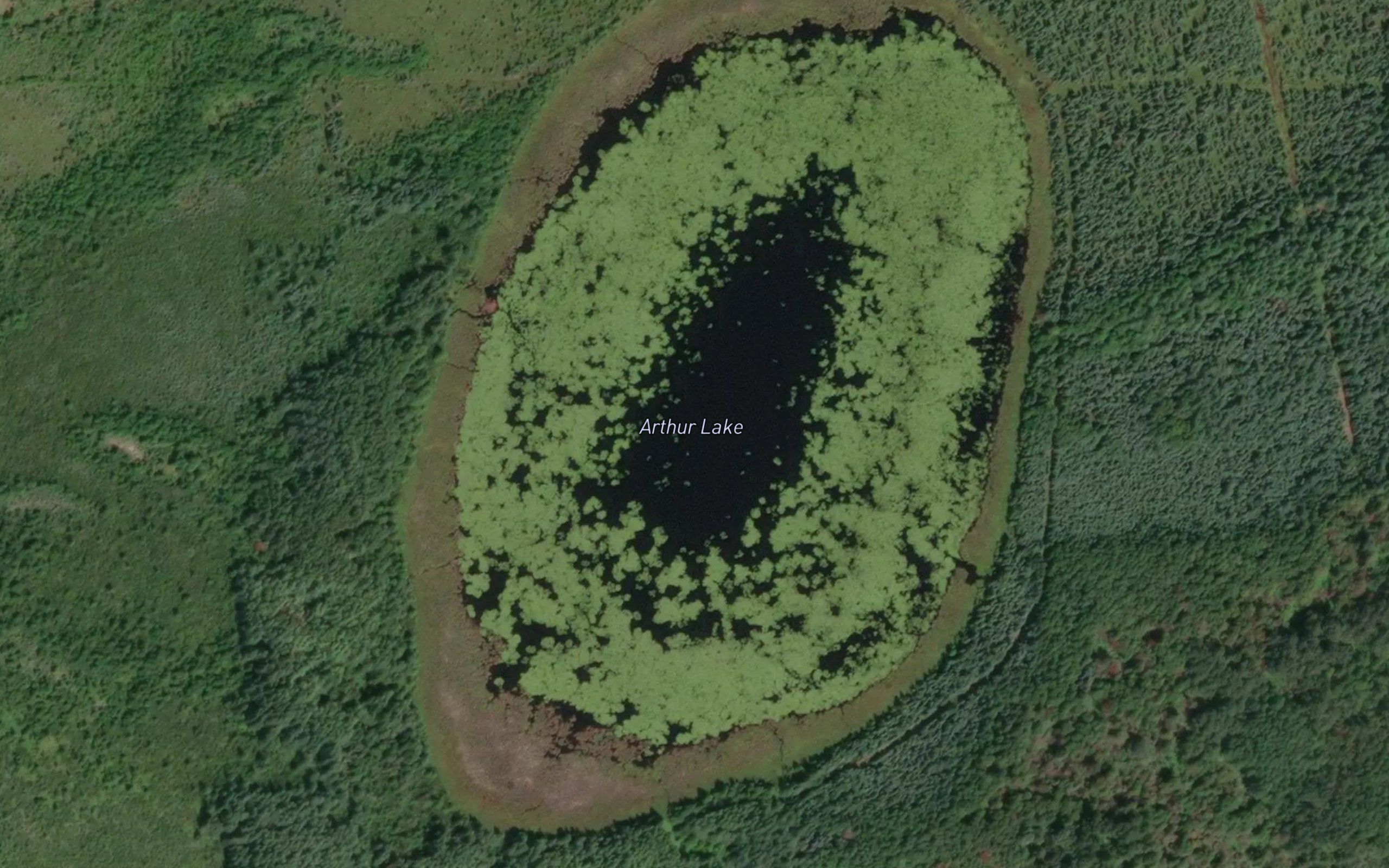 Arthur Lake