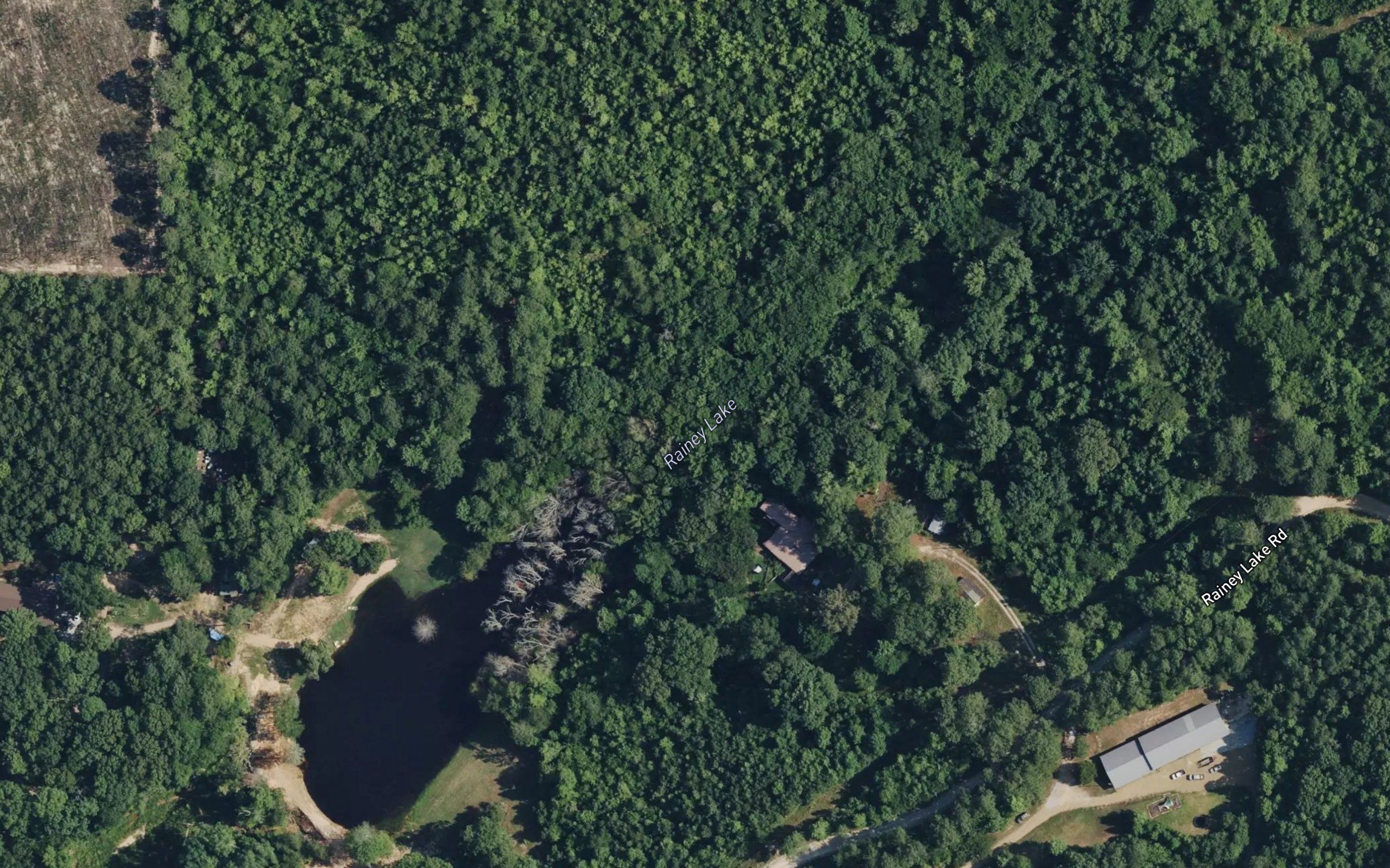 Rainey Lake