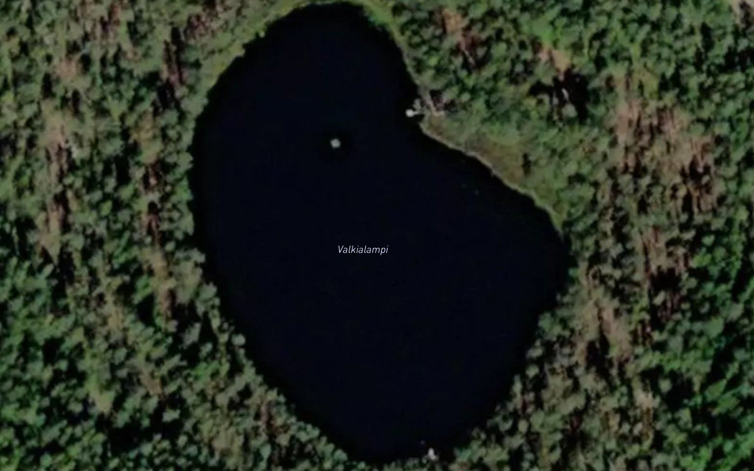Valkialampi