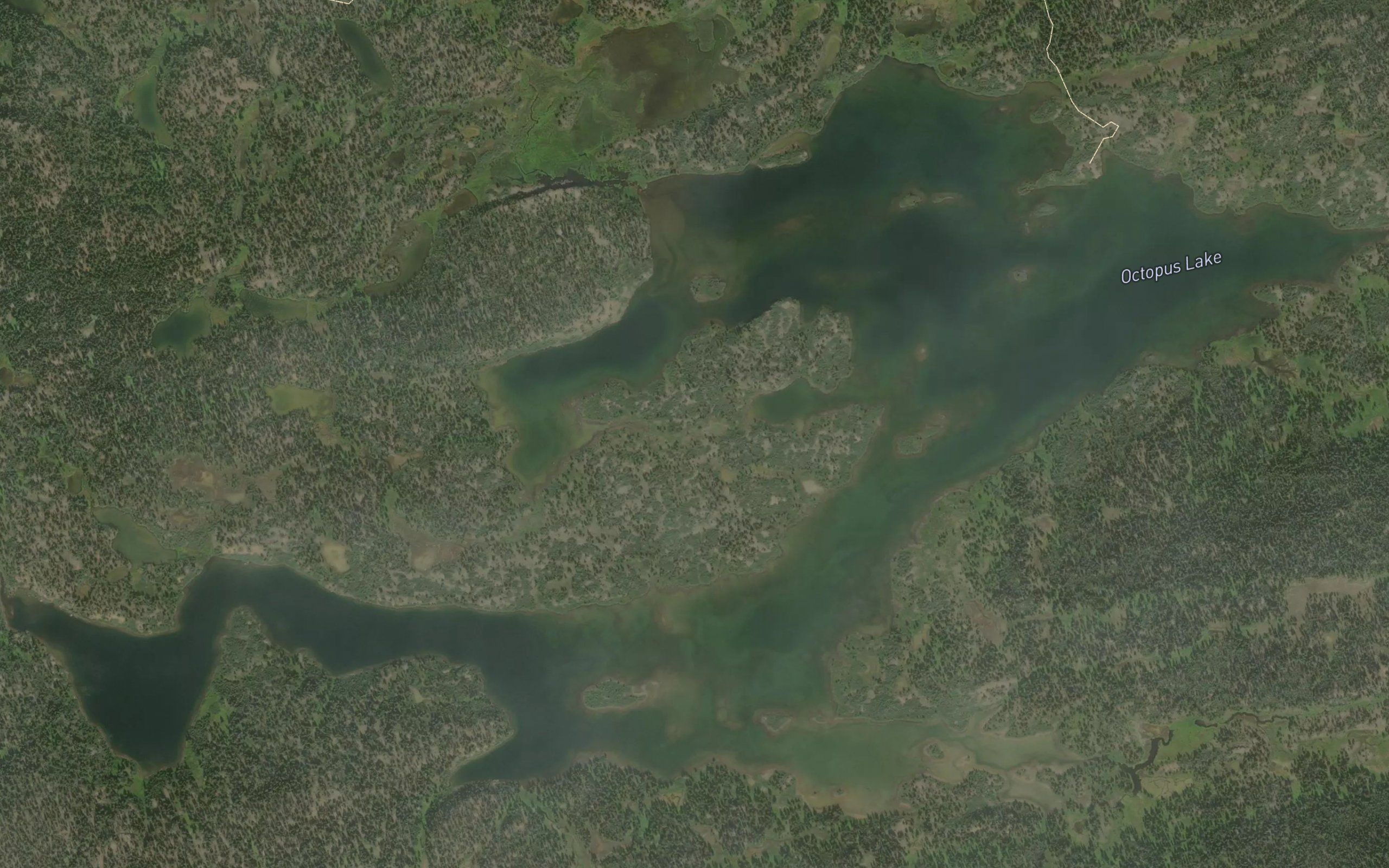 Octopus Lake