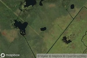 Grass Lake