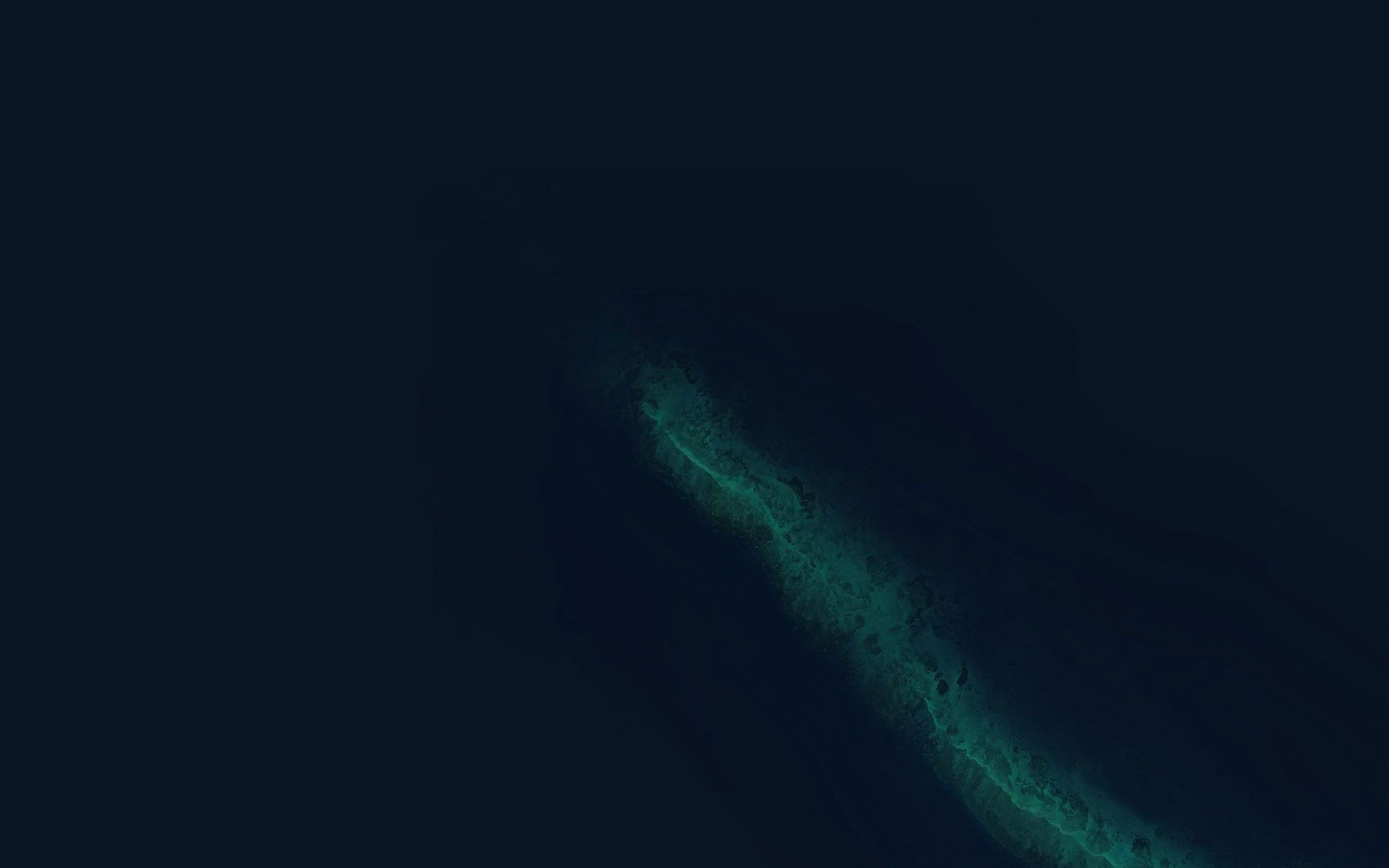 Eel Reef