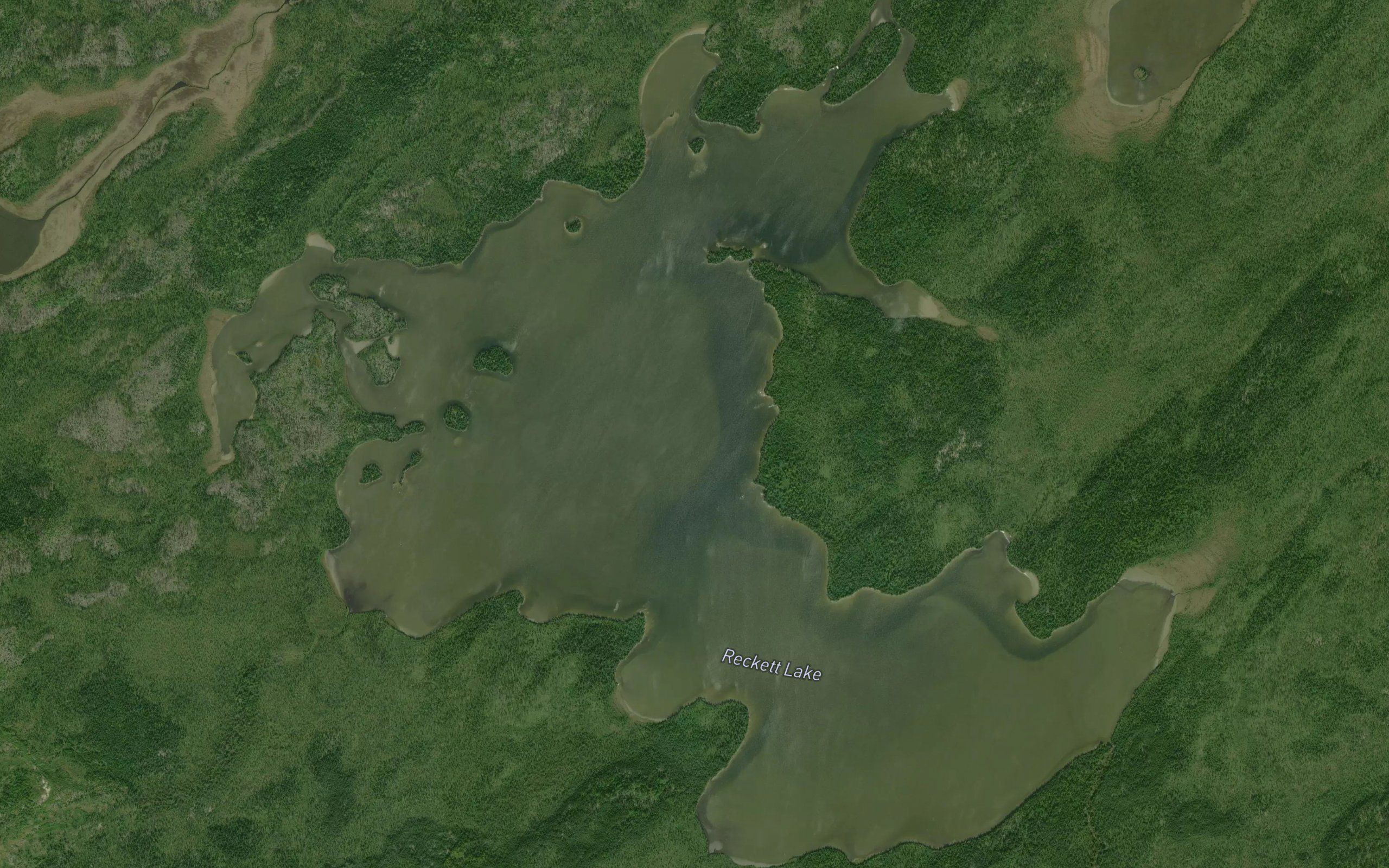 Reckett Lake