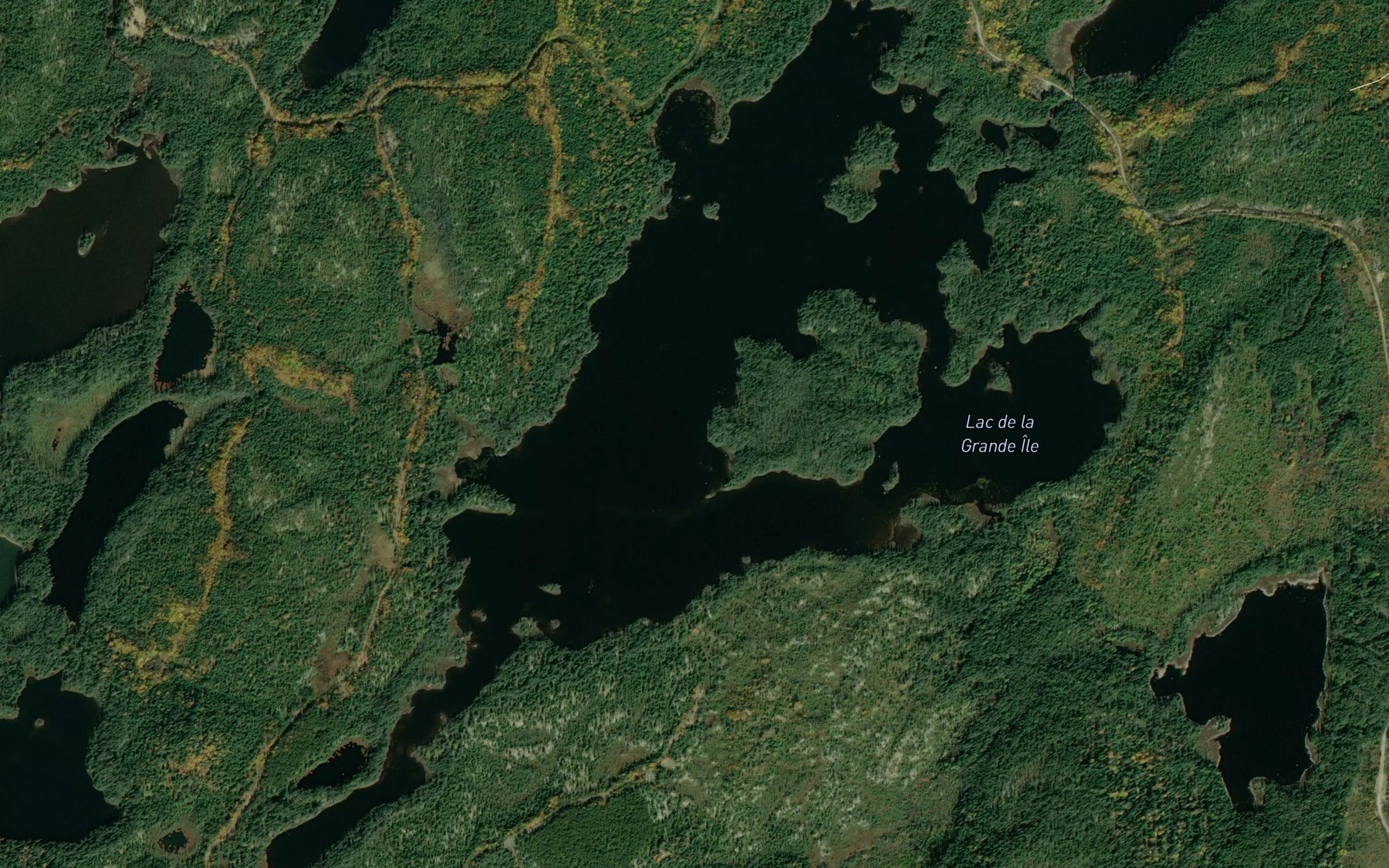 Satellite map of the Lac de la Grande Ile