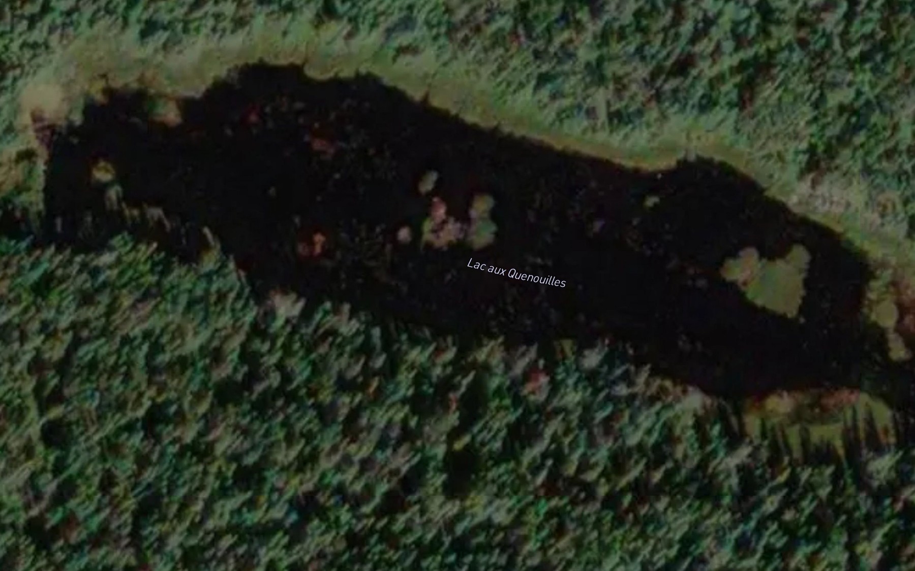 Satellite map of the Lac aux Quenouilles