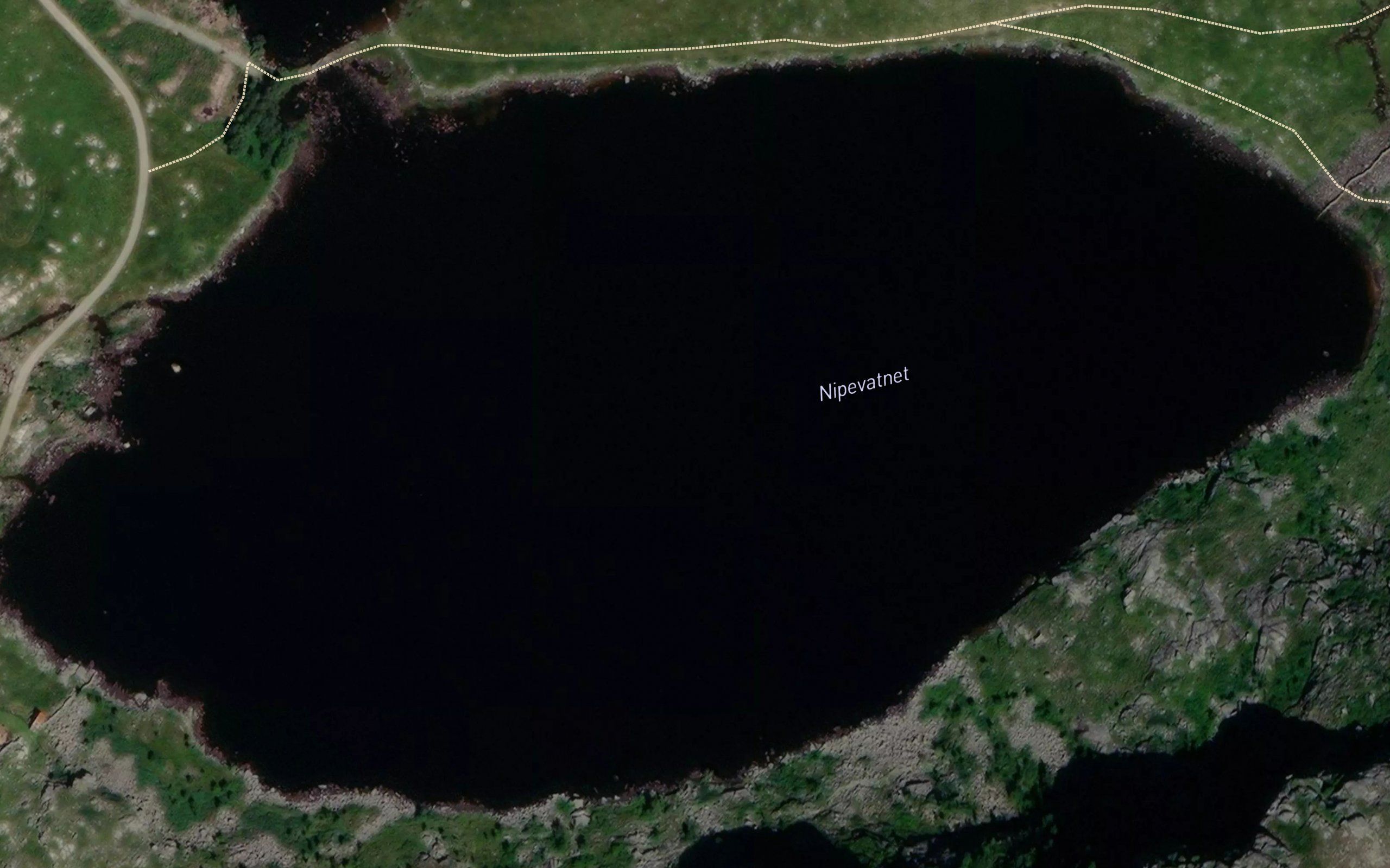 Nipetjorna