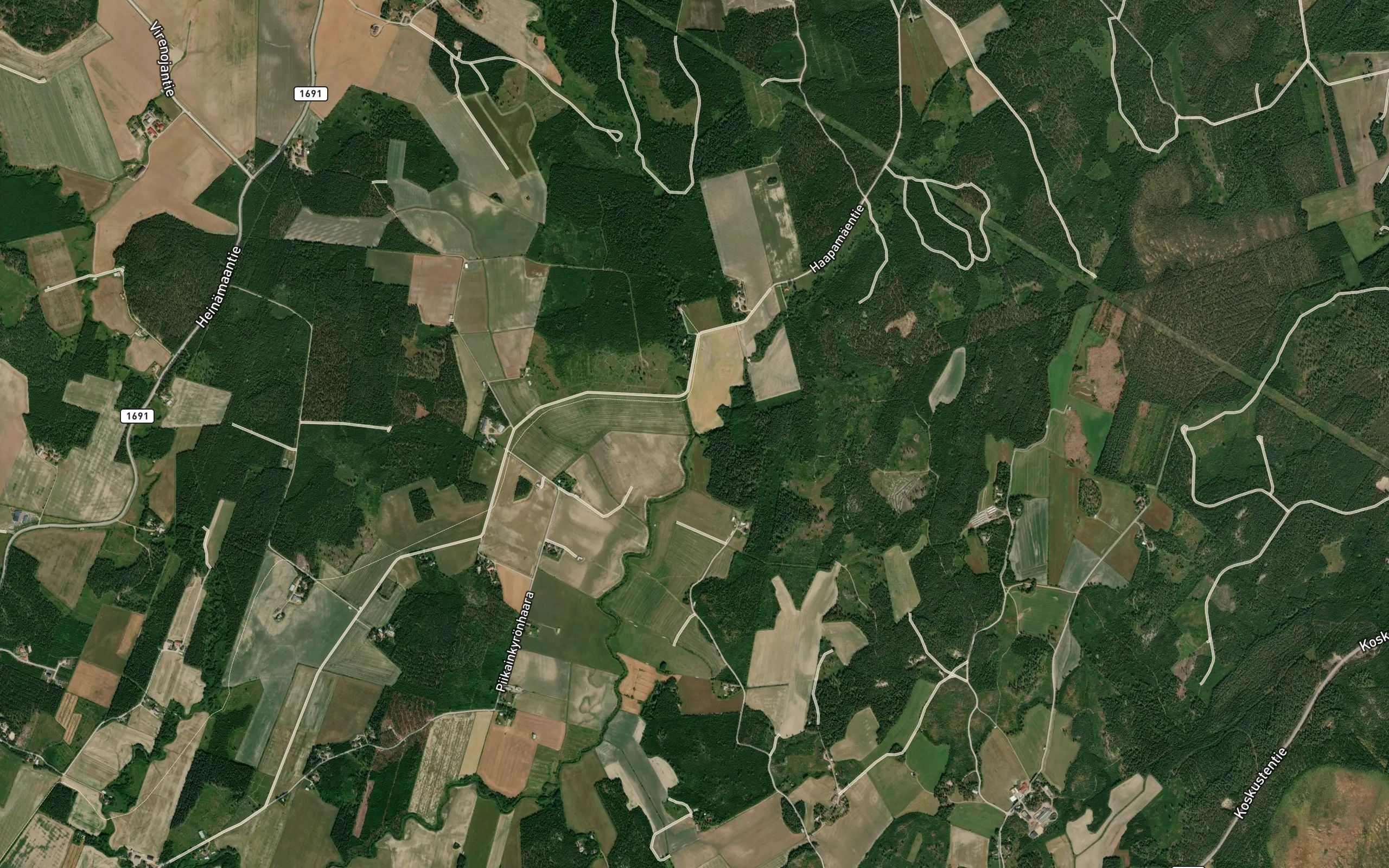 Heinjoki