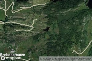 Bjonndalstjorna