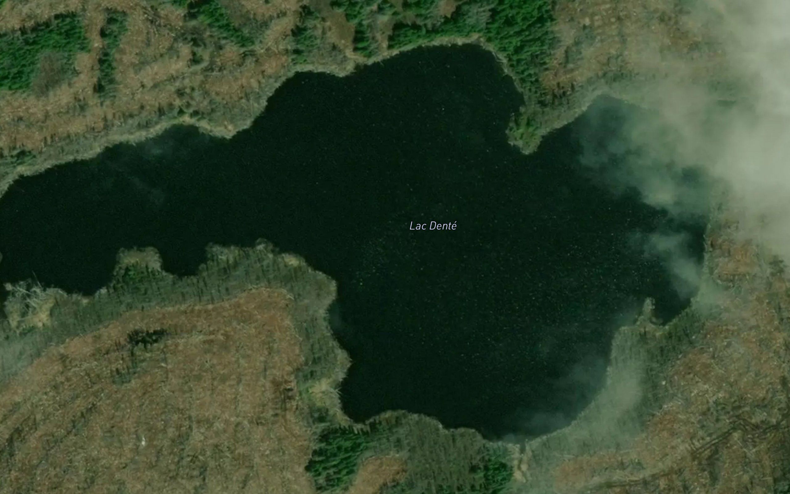 Lac Dente