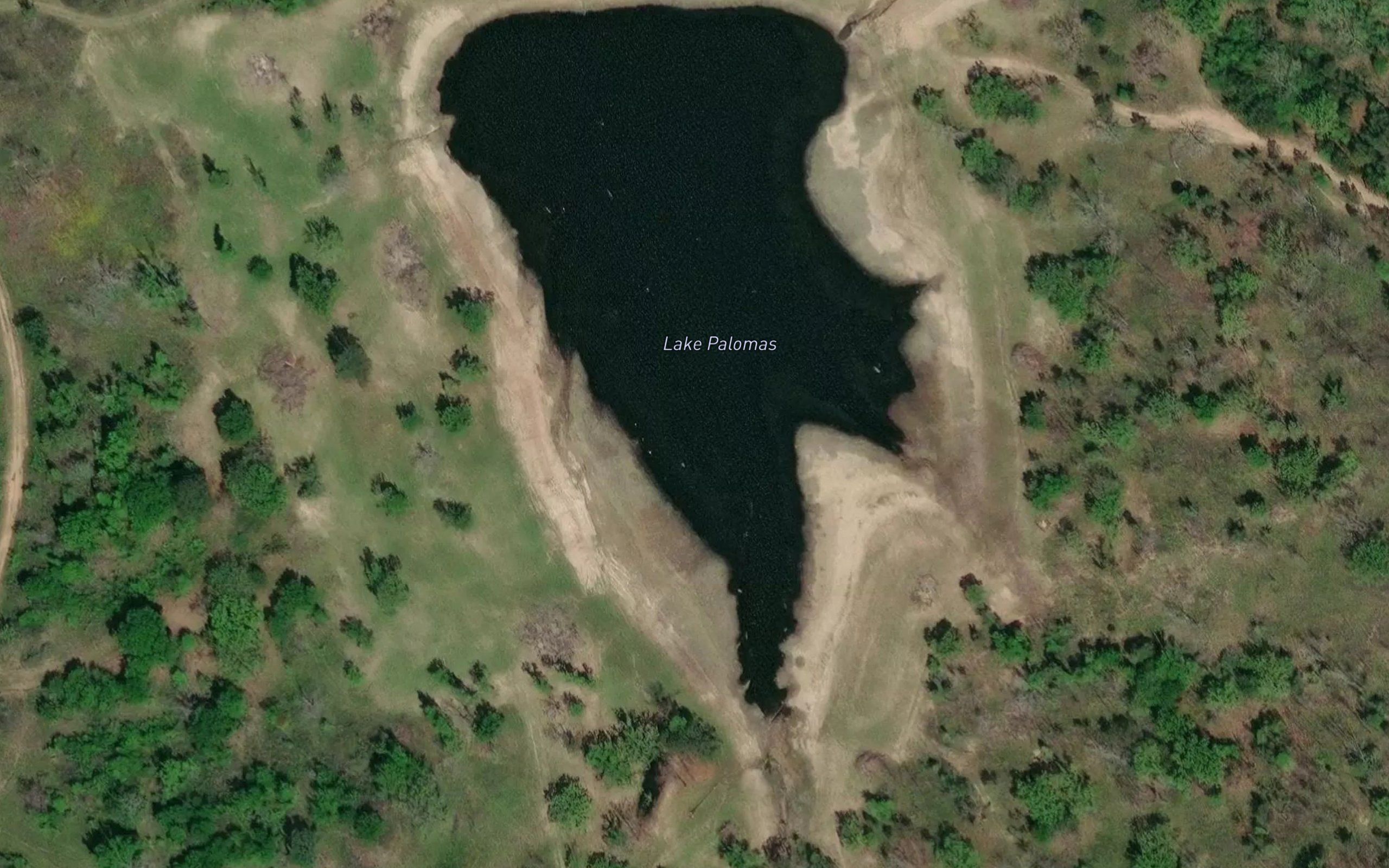 Lake Palomas