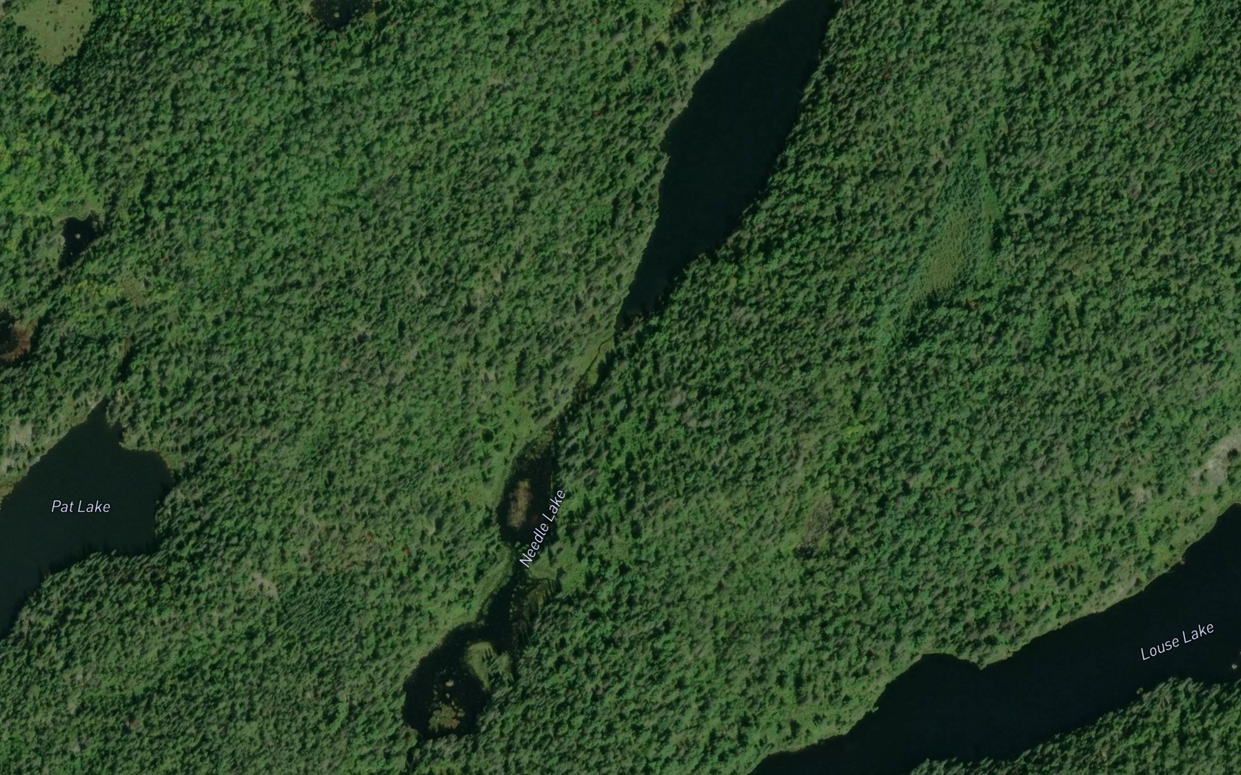 Satellite map of the Needle Lake