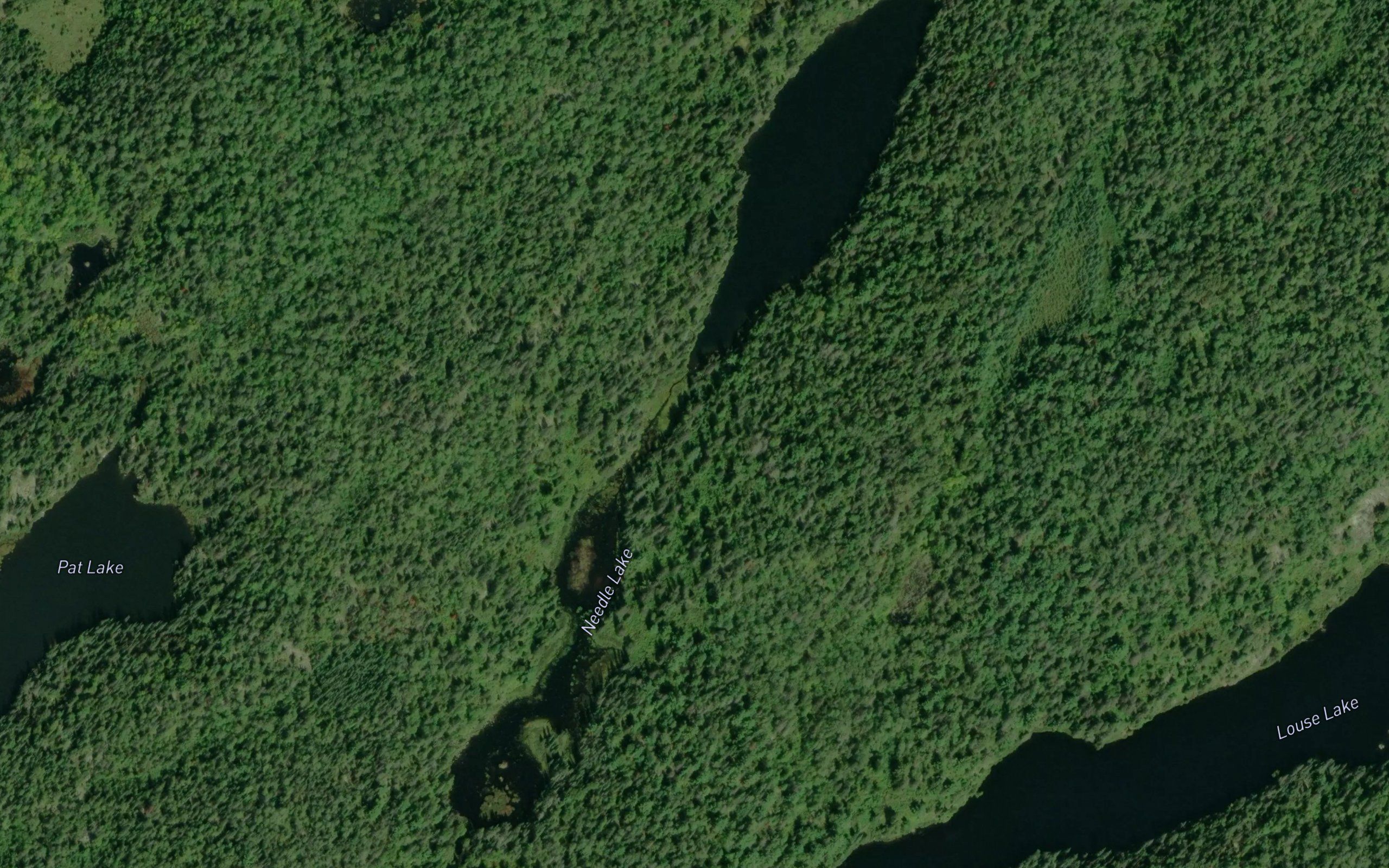 Needle Lake