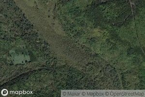 Tikhiy