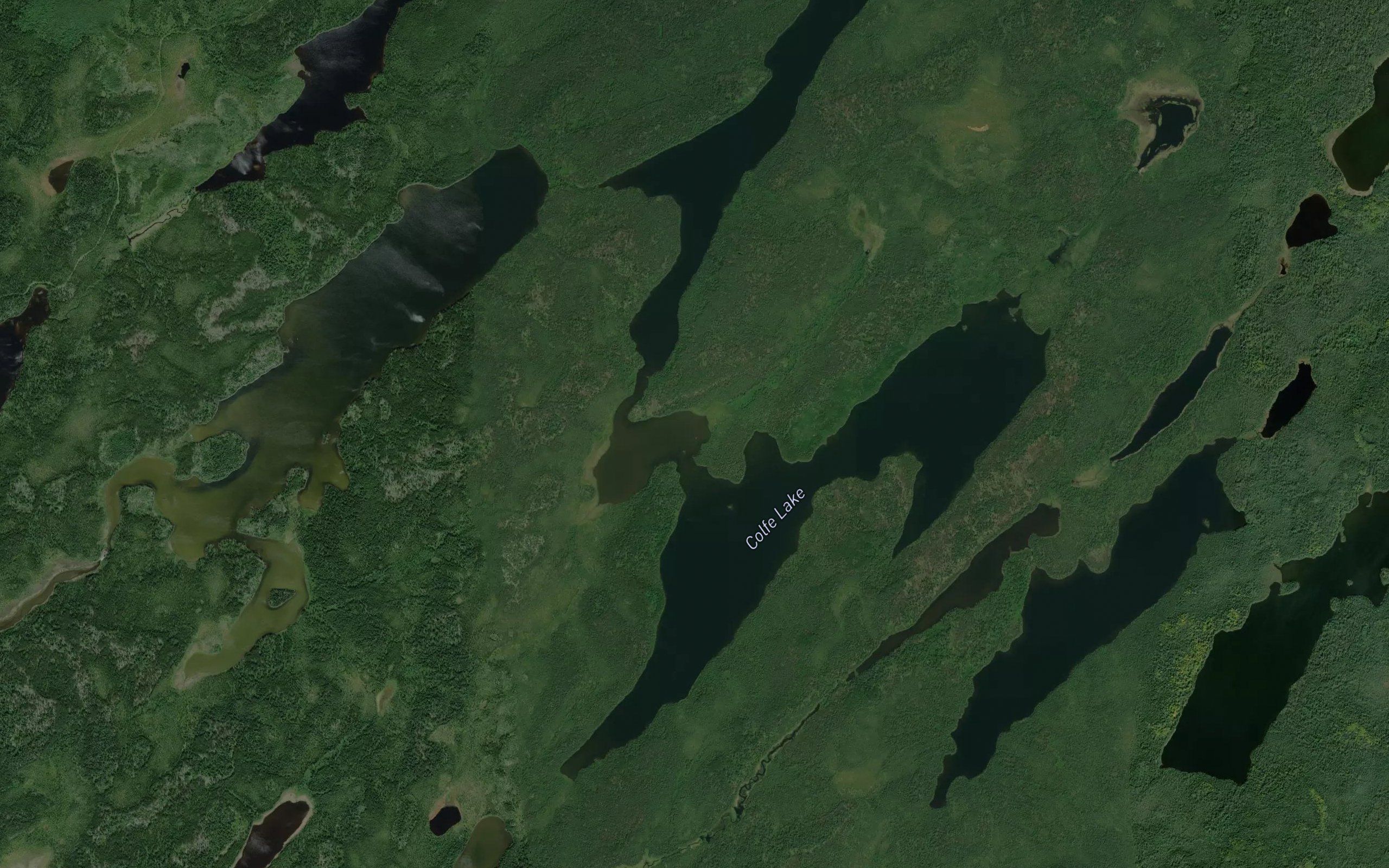 Colfe Lake