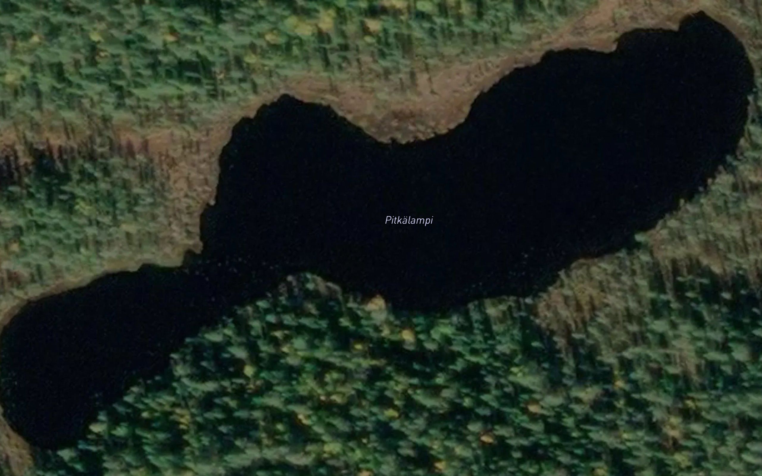 Pitkalampi