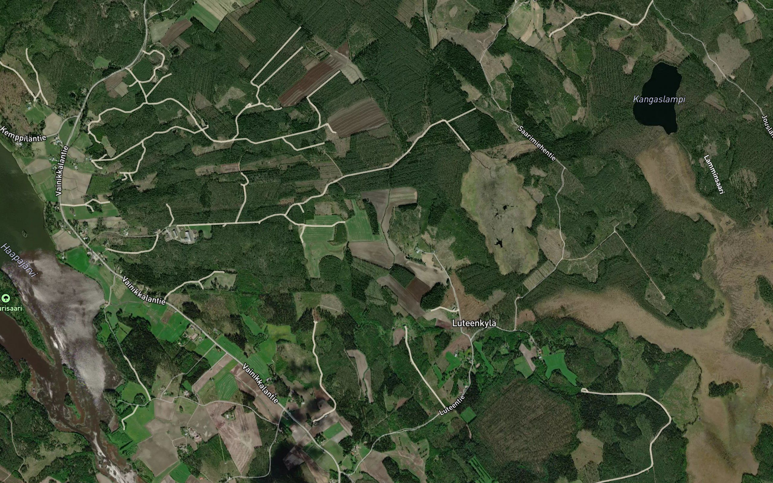 Parsikonoja